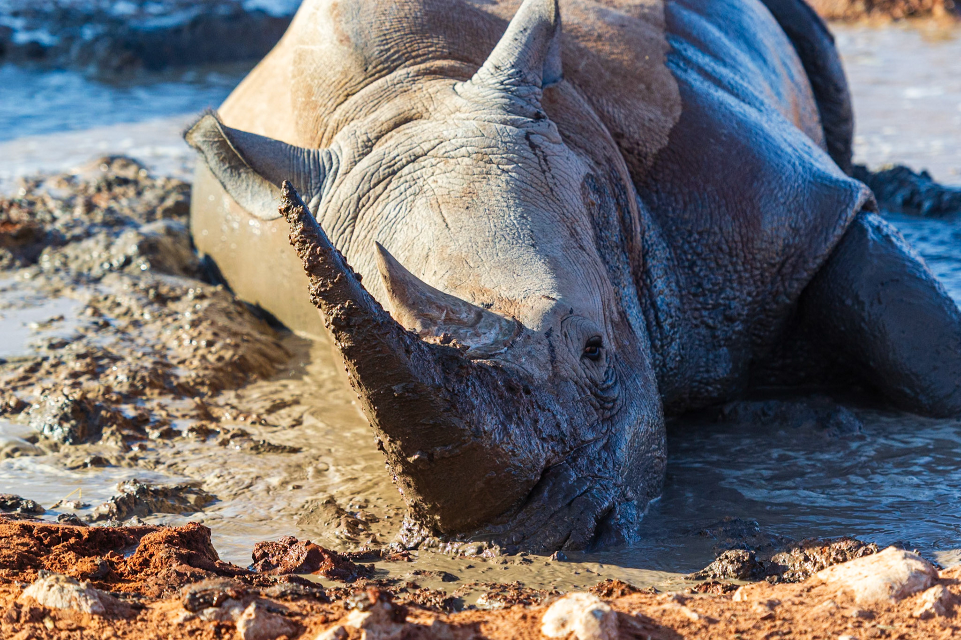 Bagatelle Kalahari Game Ranch, Mariental