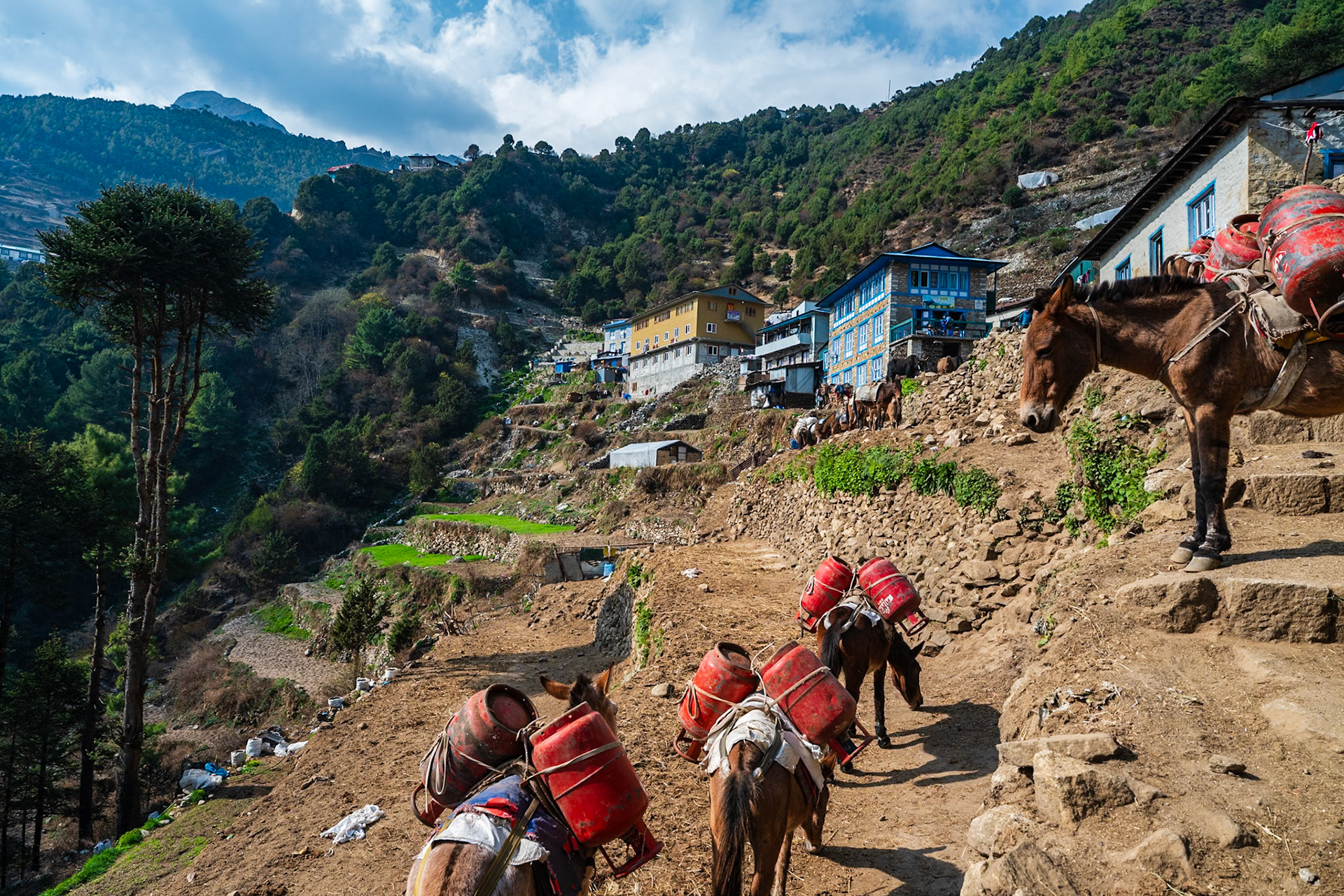 Day 2 - Phakding (2'610 m) to Namche Bazaar (3'446 m)