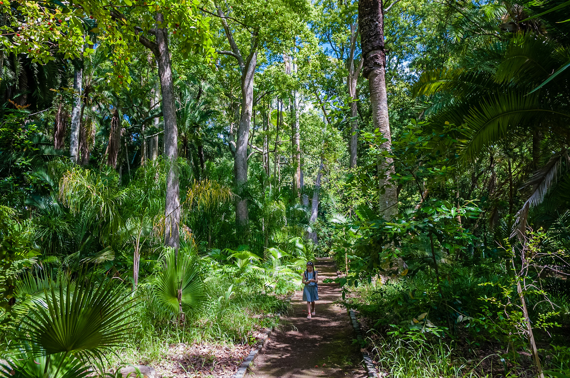 Jardim José do Canto, Ponta Delgada, São Miguel