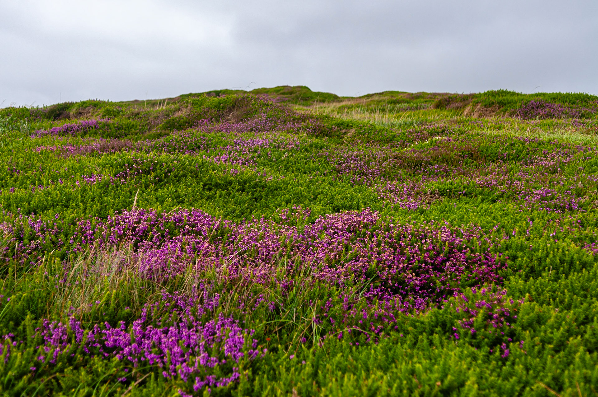 Ardmore House, Clifden, County Galway