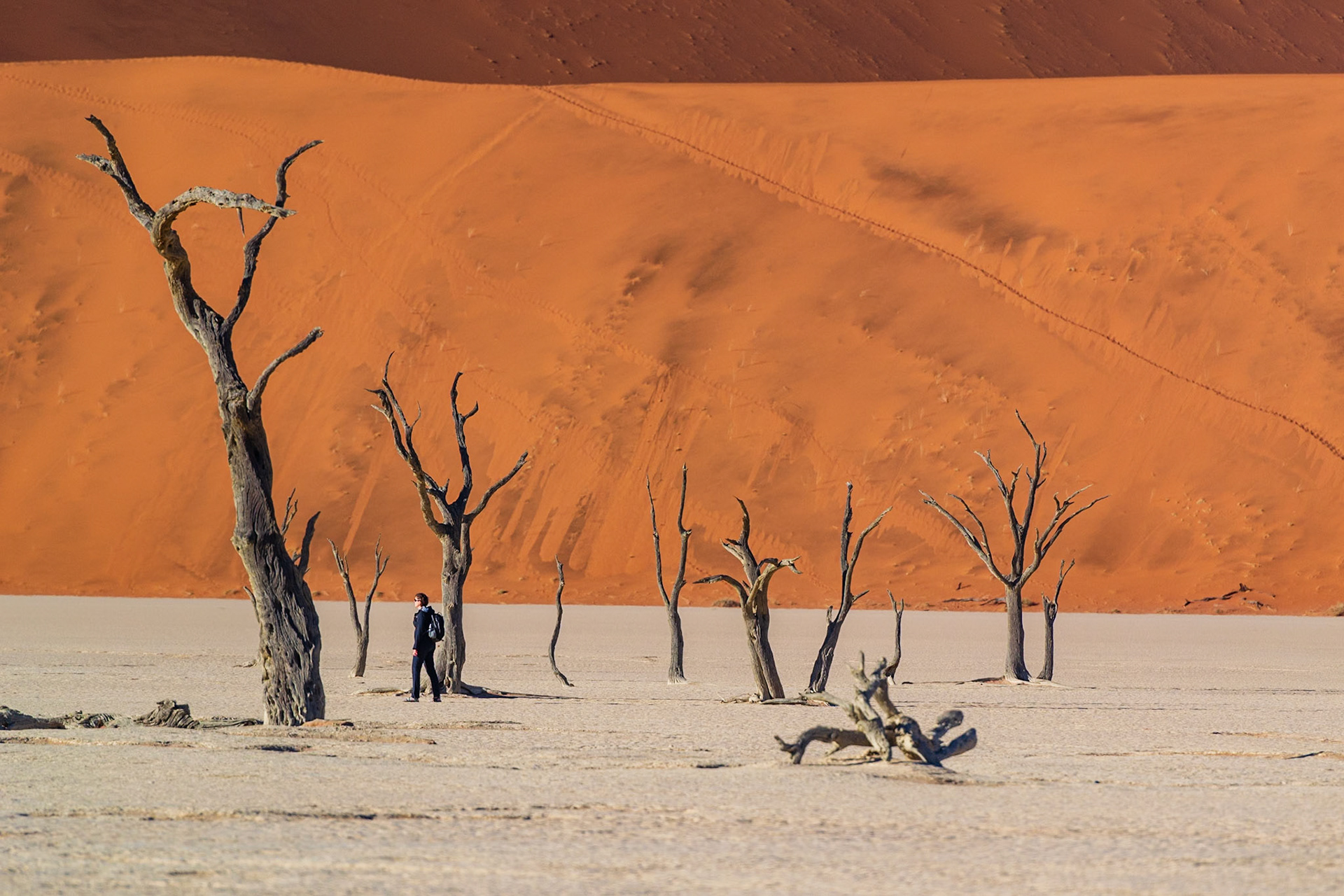Dead Vlei, Sossusvlei