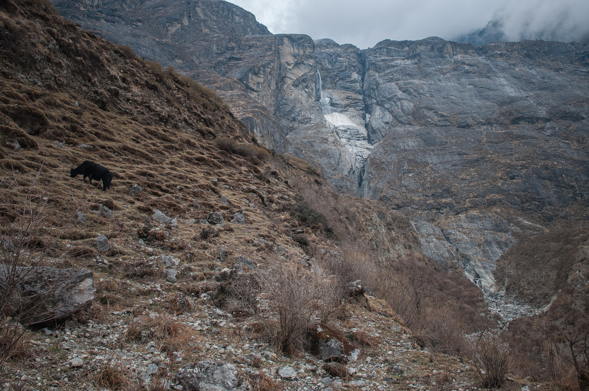 Entre Thulo Syabru et Lama Hotel