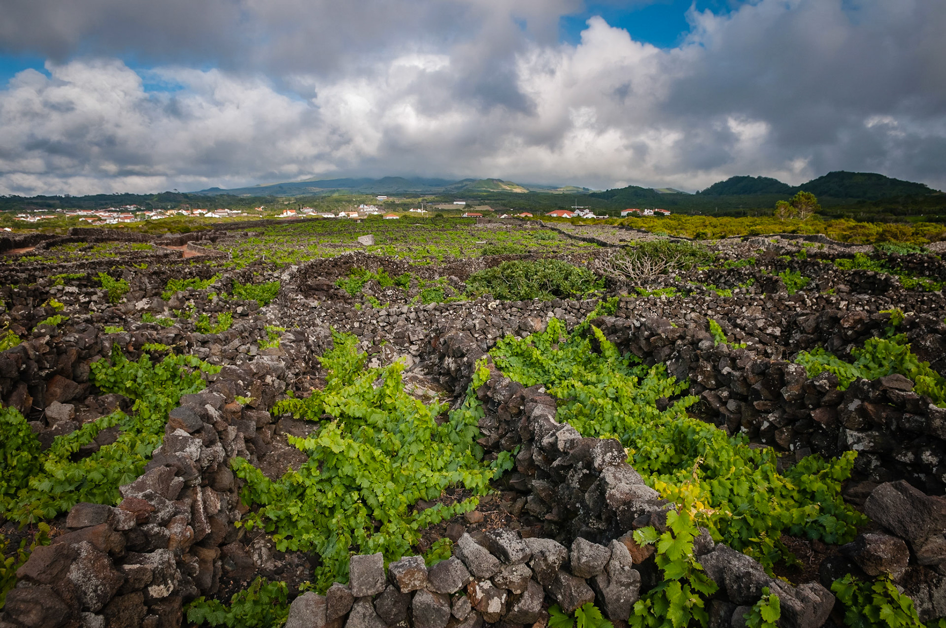 Criaçao Velha, Pico