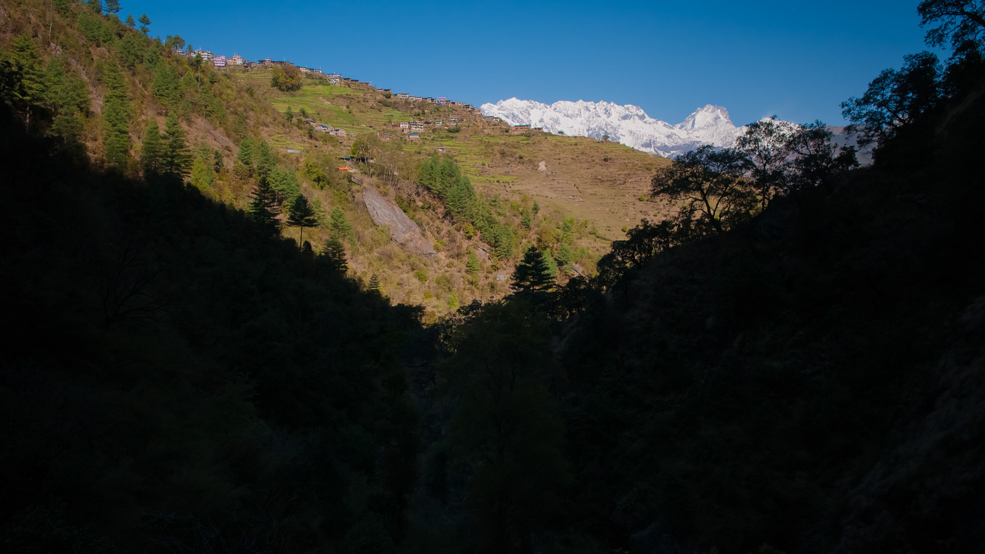 Entre Thulo Syabru (2210m) et Lama Hotel (2410m)