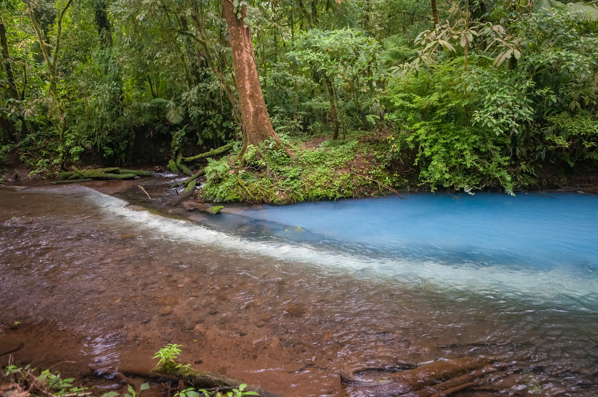 Parque National Volcan Tenorio