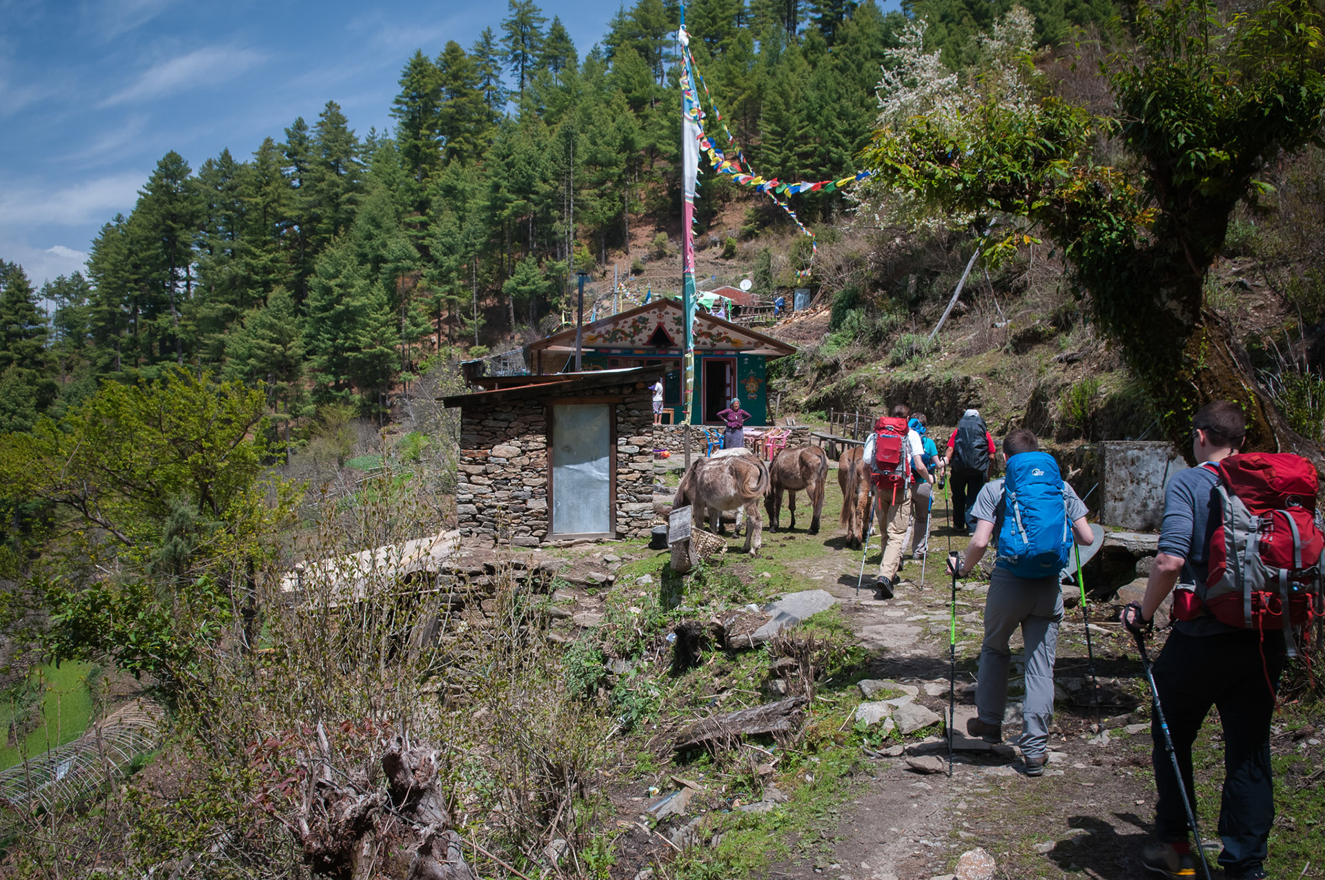 Entre Dhunche (1960m) et Thulo Syabru (2210m)