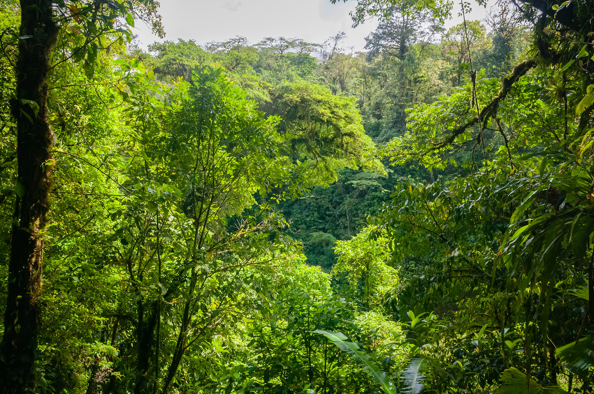 Arenal Observatory Lodge, Parque National Volcan Arenal