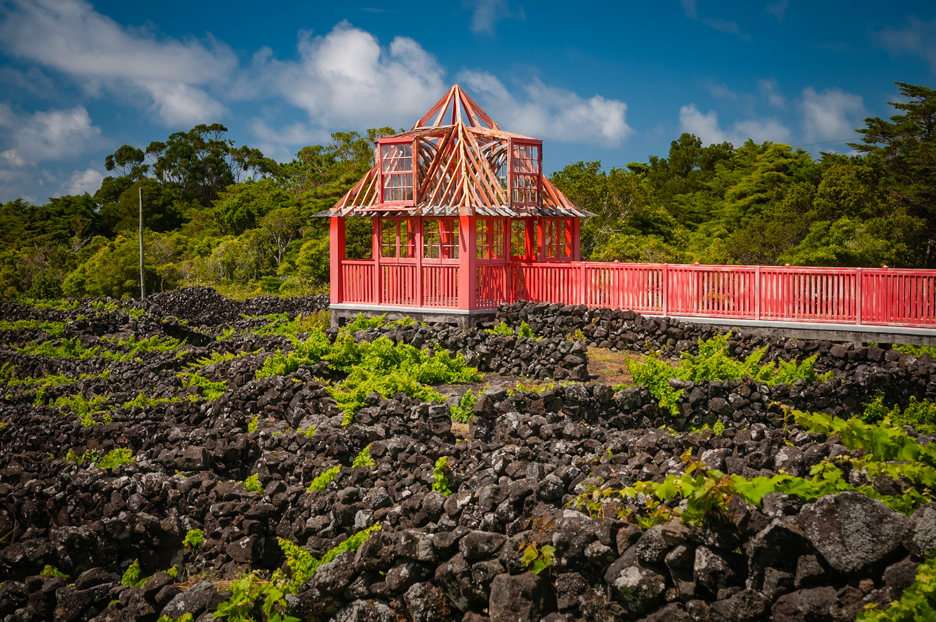 Museu do Vinho do Pico, Madalena, Pico