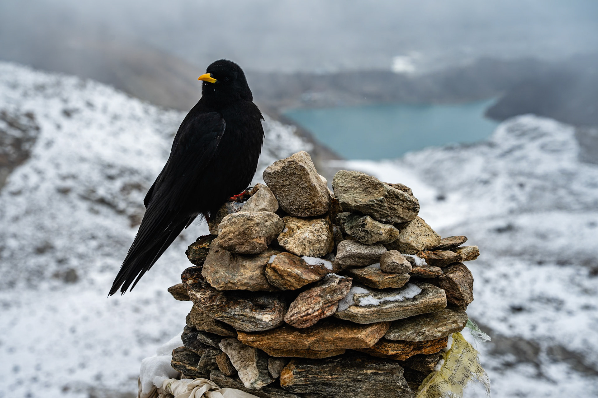 Day 8 - Gokyo (4'790 m) to Lumden (4'370 m) crossing over Renjo la pass (5'340 m)