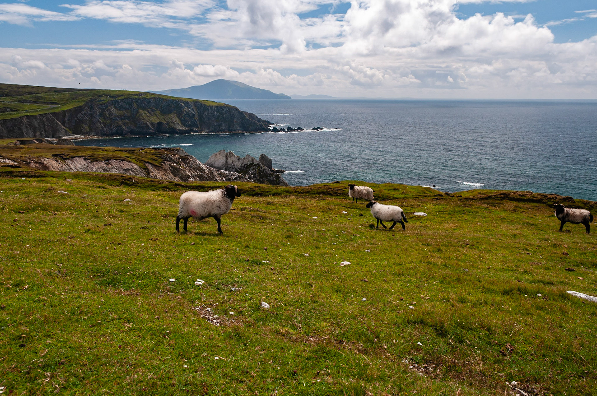 Wild Atlantic Way, Achill Island, County Mayo