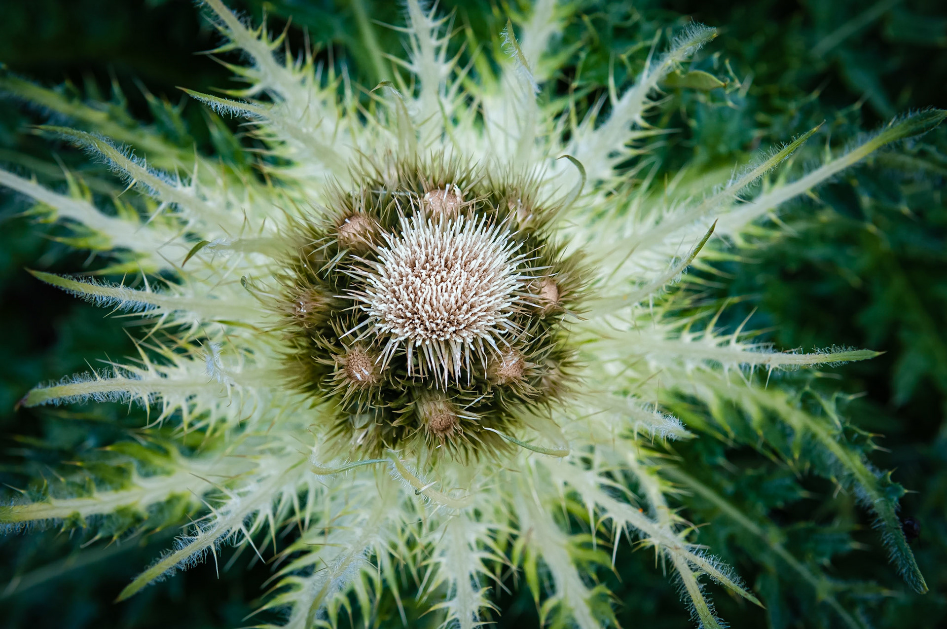 Kaiser-Franz-Josefs-Höhe, Grossglockner, Autriche
