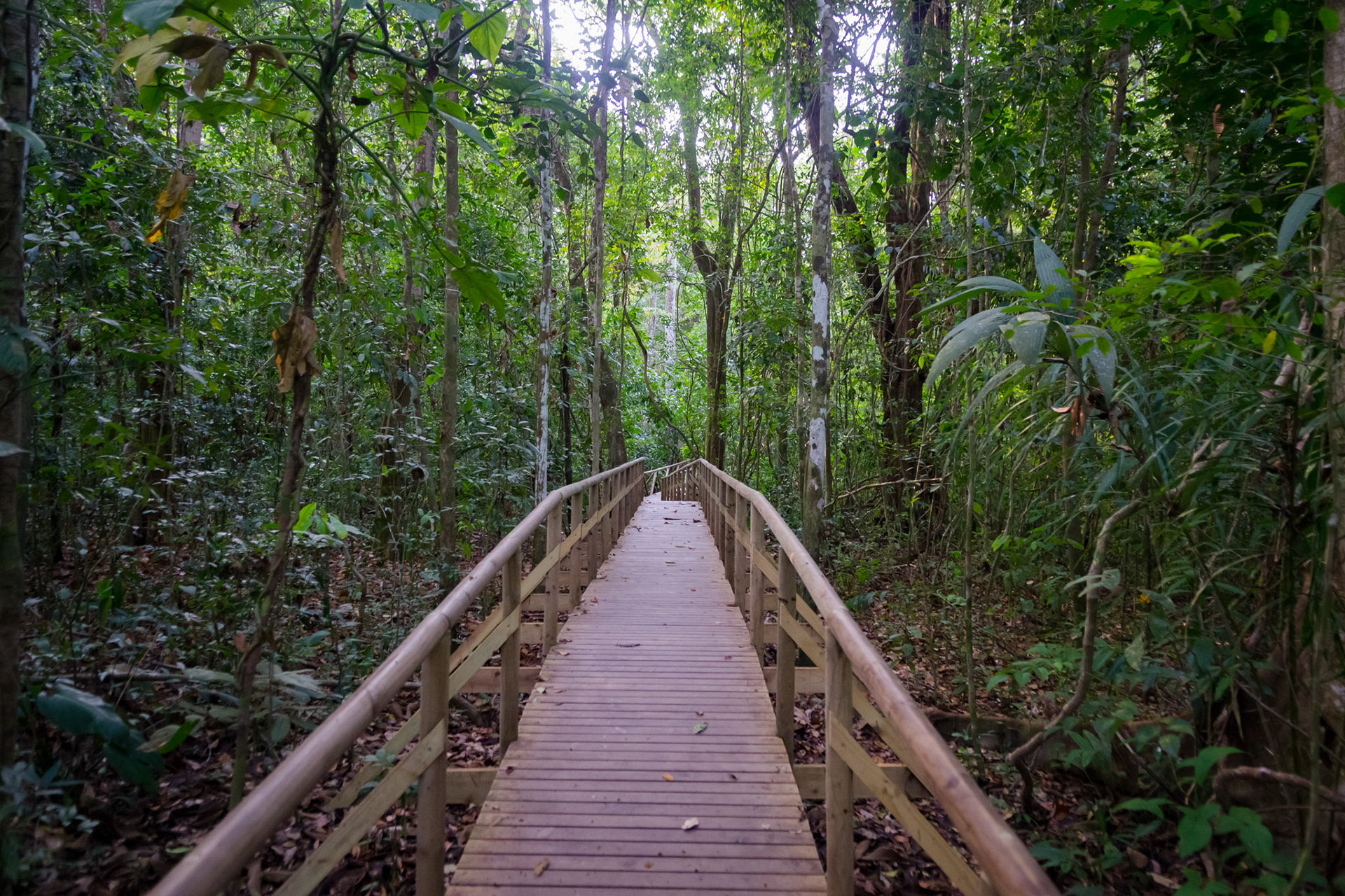 Parque Nacional Manuel Antonio