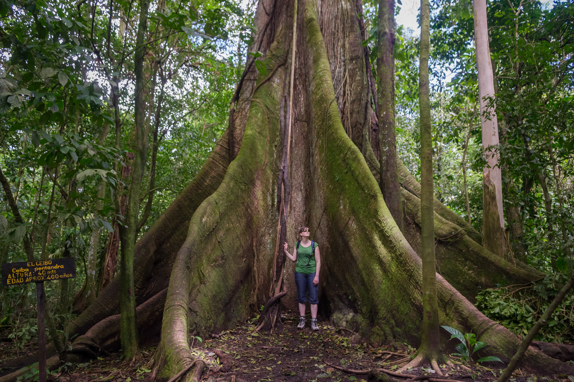 Parque National Volcan Arenal
