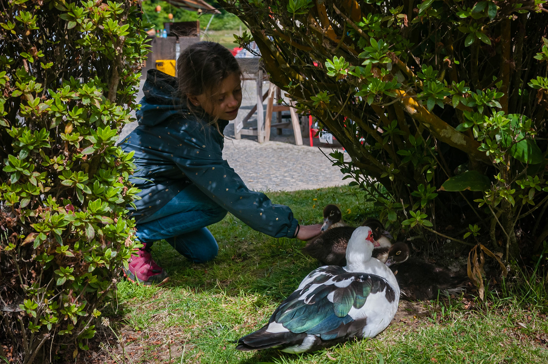Lagoa das Furnas, São Miguel