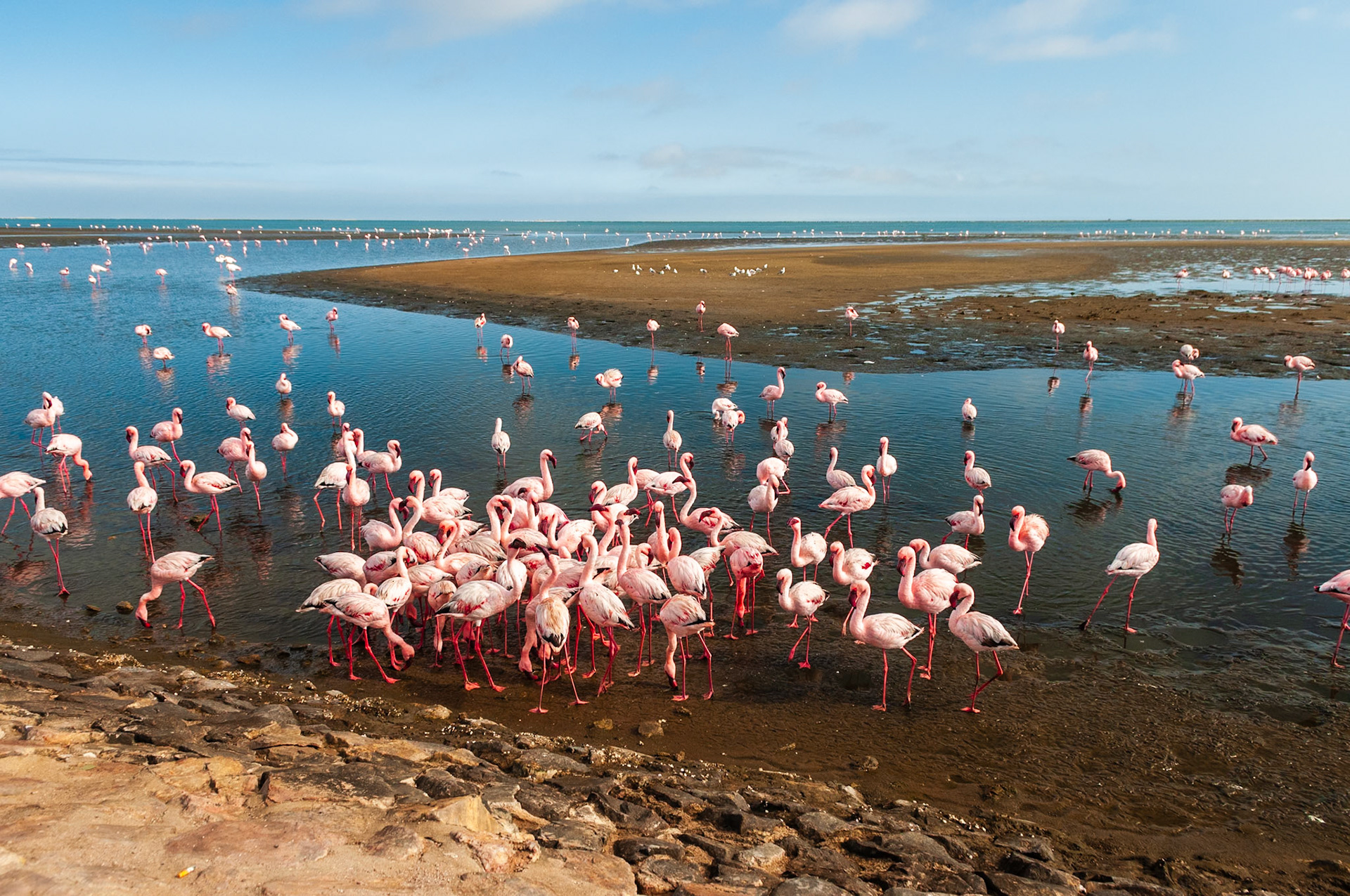 Flamingo Lagoon, Walvis Bay