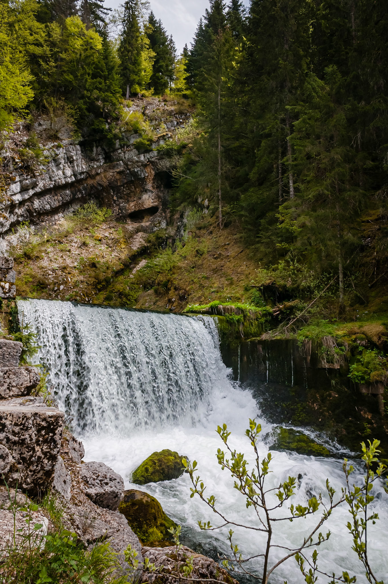 Source du Doubs, France