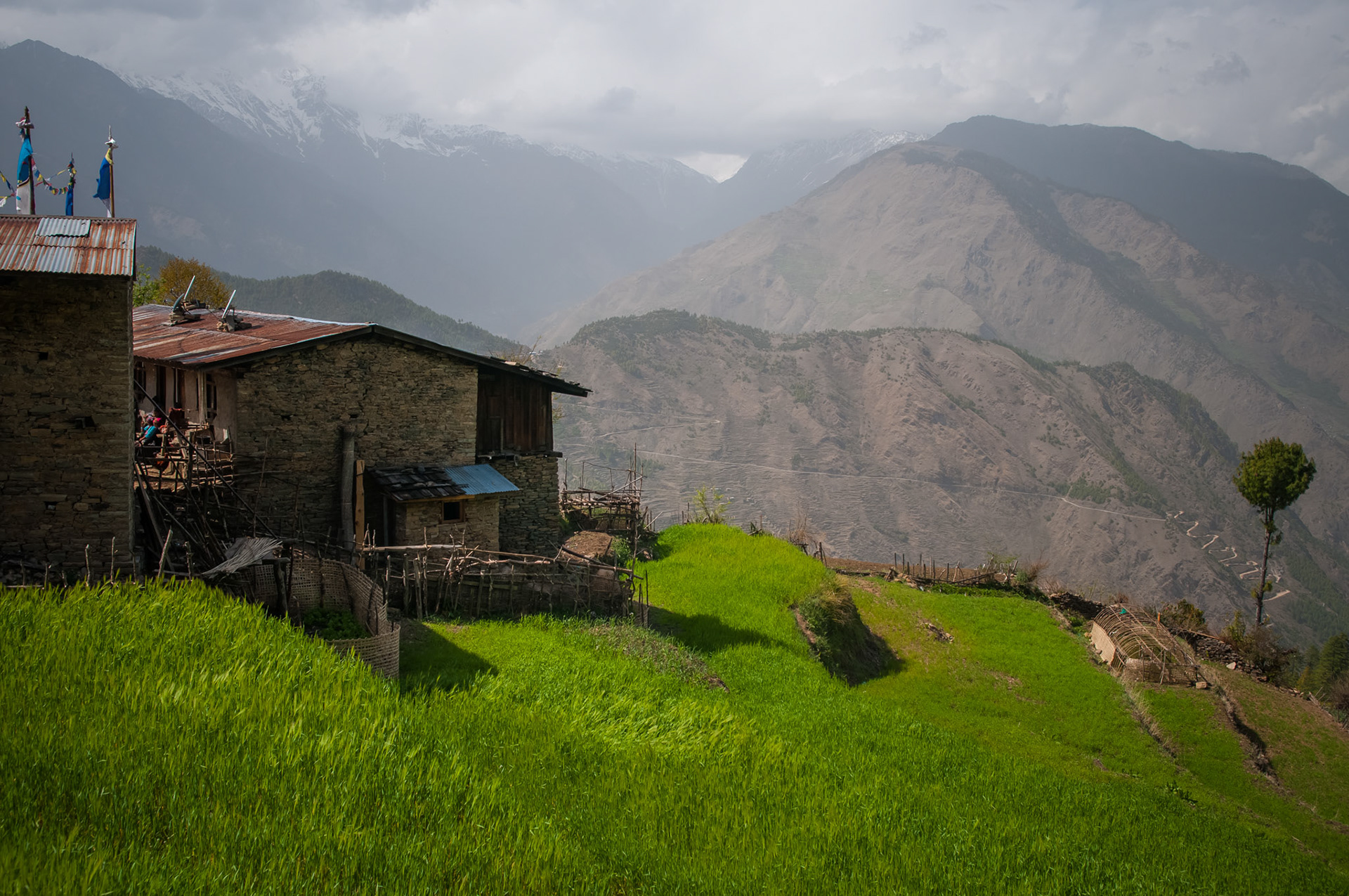 Entre Dhunche (1960m) et Thulo Syabru (2210m)