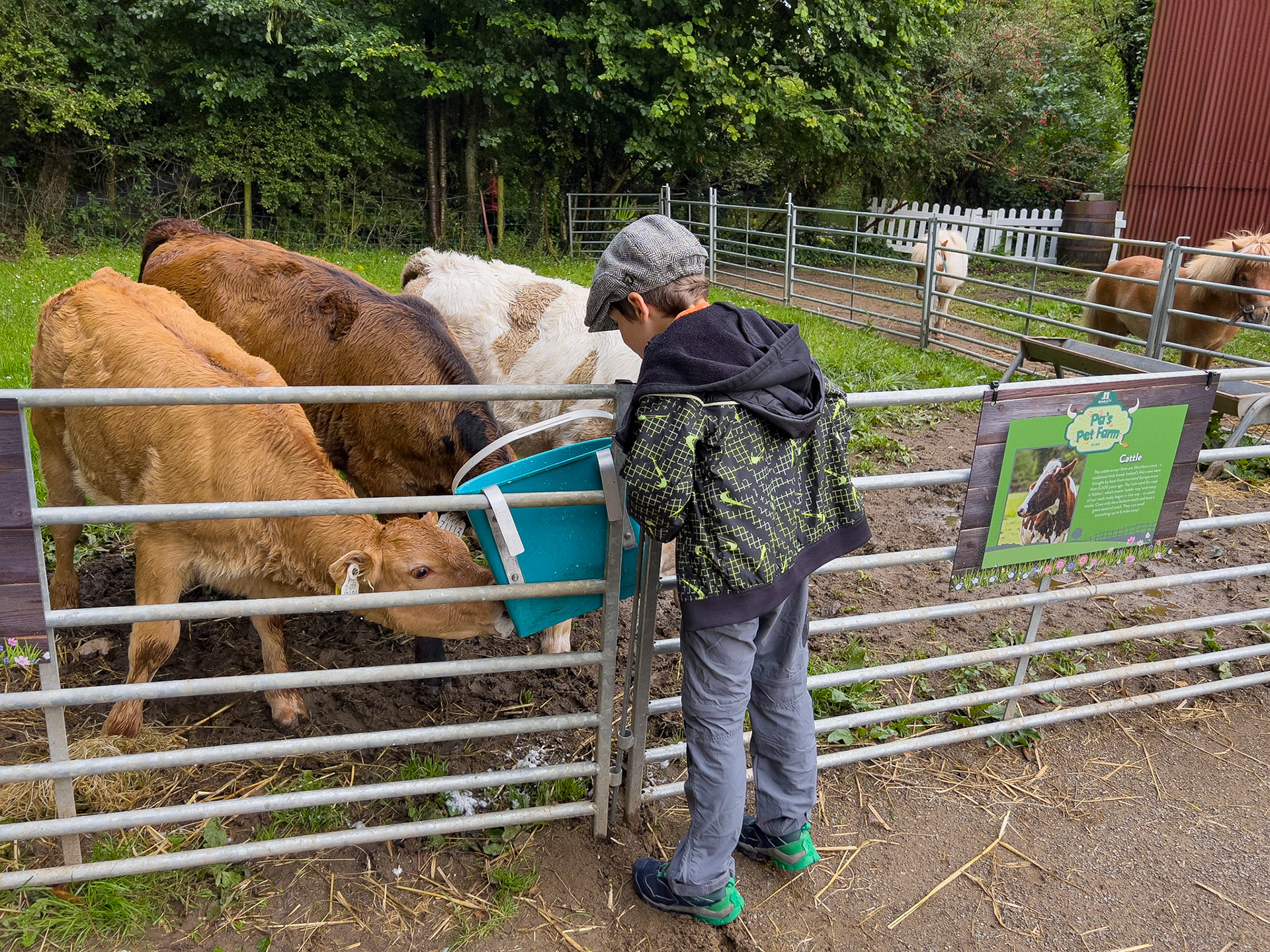 Bunratty Castle, County Clare