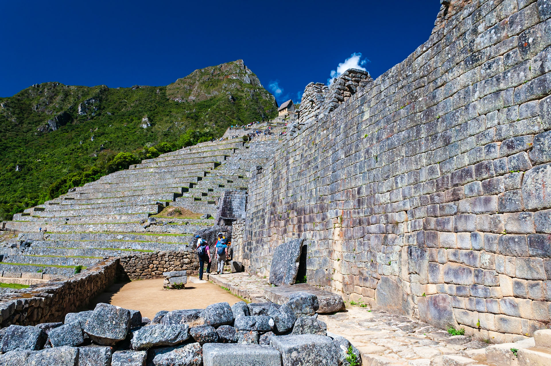 Machu Picchu
