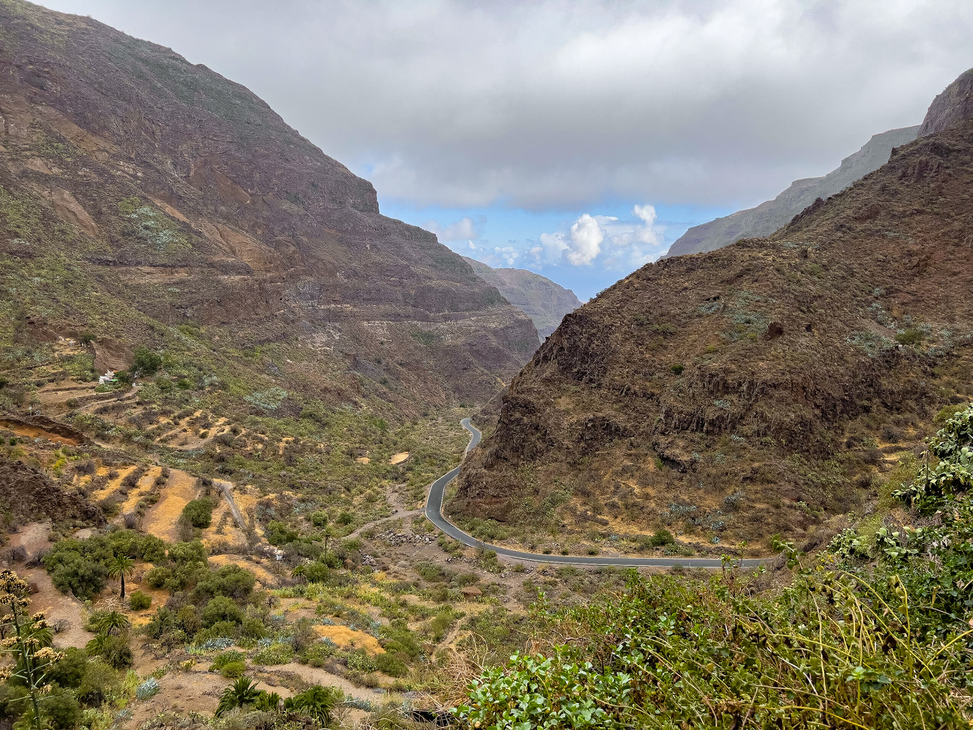 Guayadeque ravine, Gran Canaria