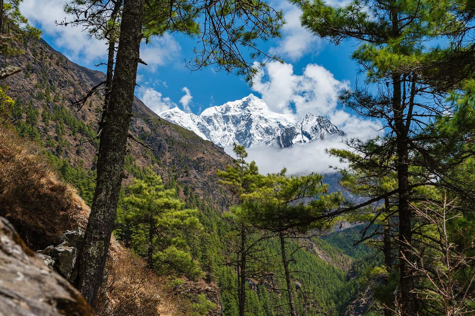 Day 10 - Namche Bazaar (3'446 m) to Phakding (2'610 m)