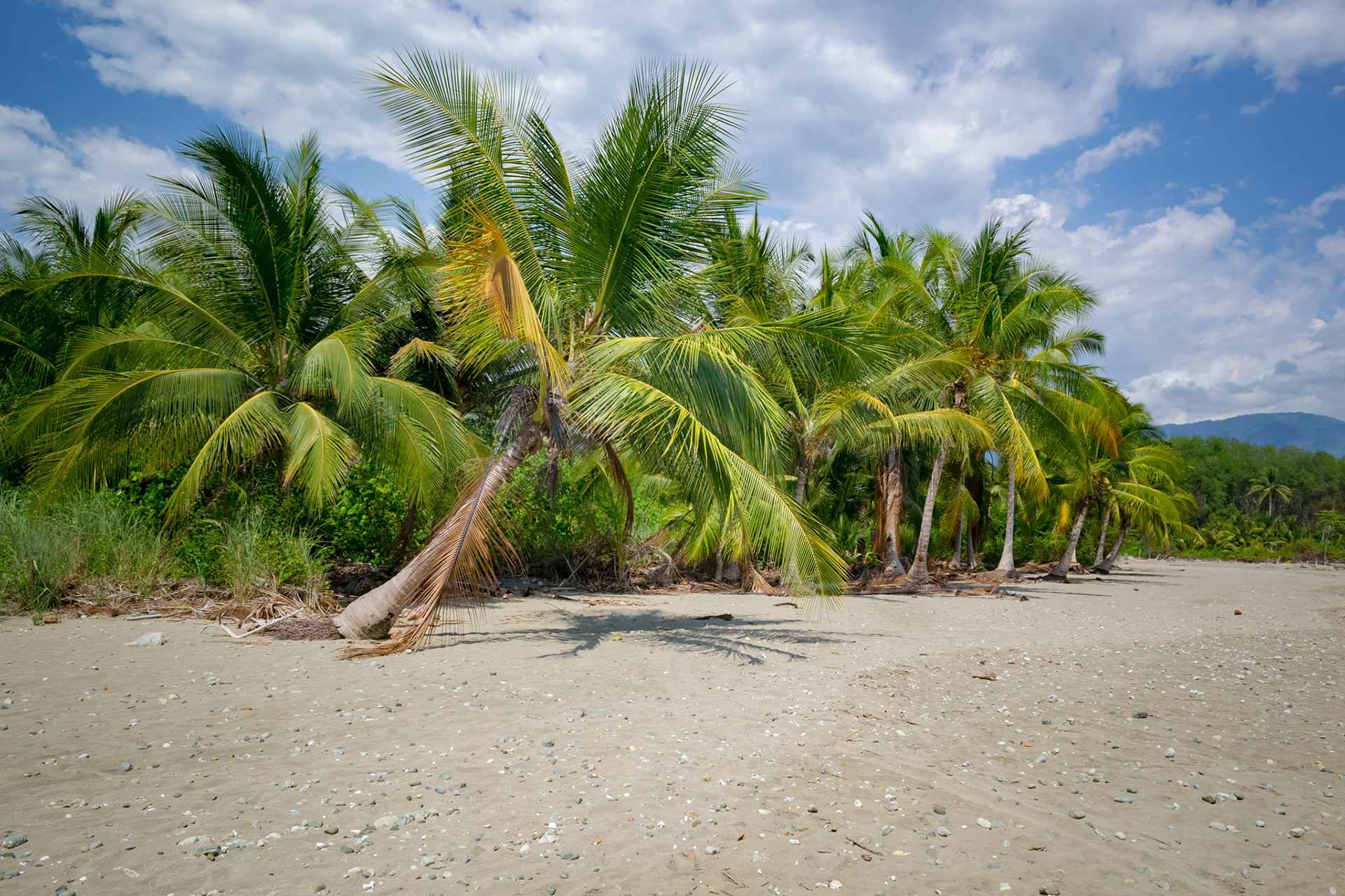 Parque National Marino Ballena
