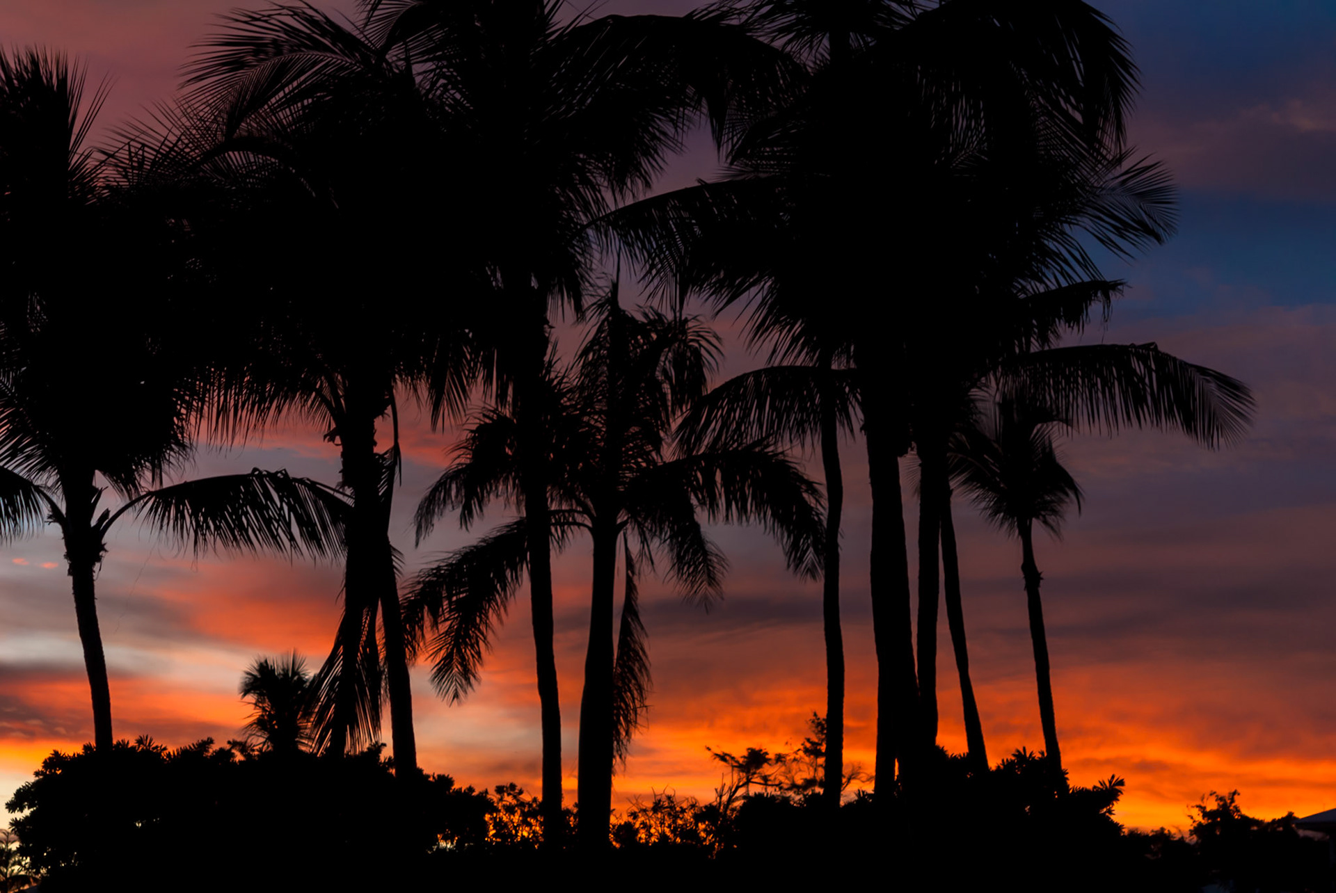 Club Med Punta Cana, République Dominicaine