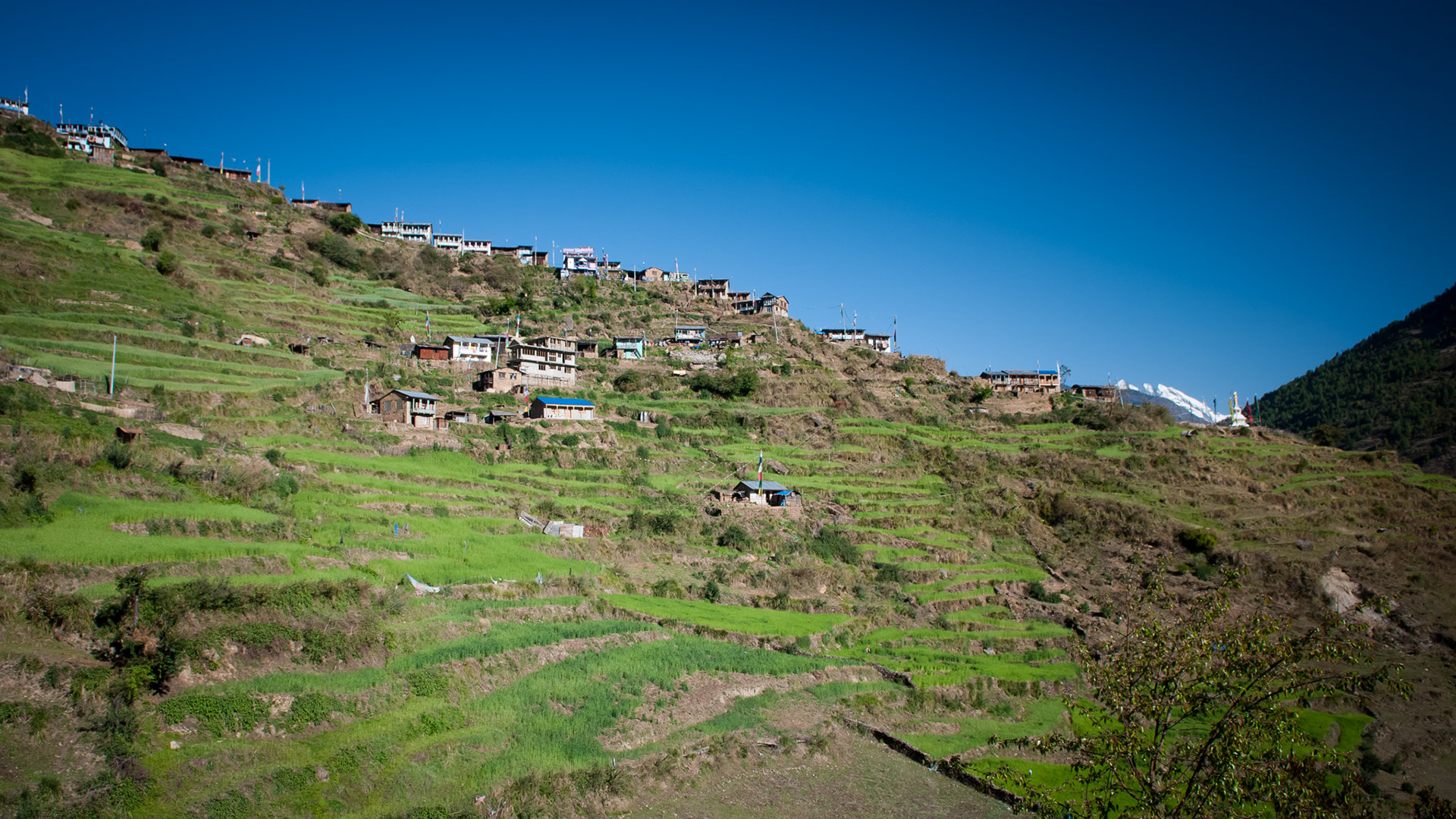 Thulo Syabru (2210m)