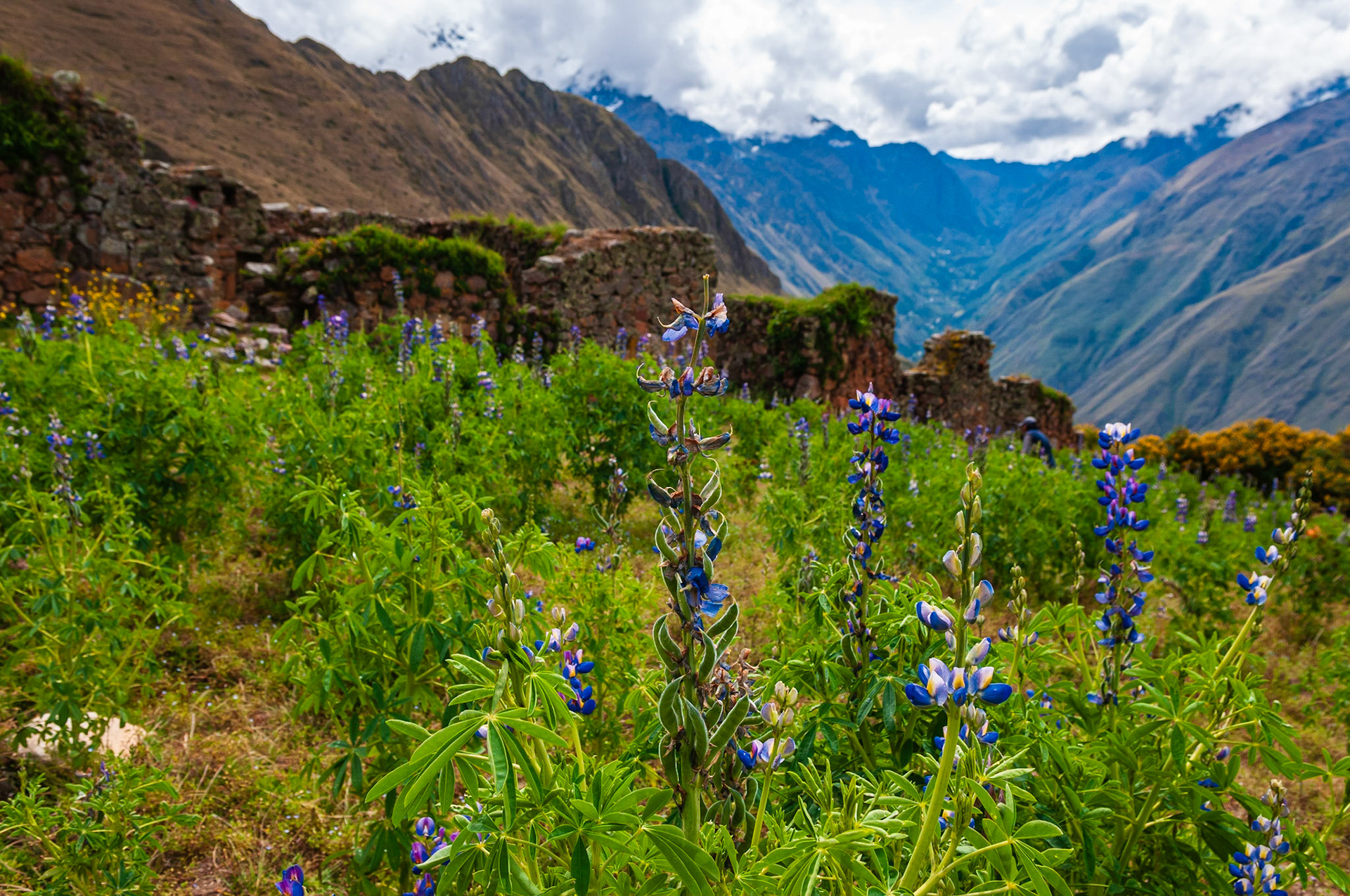 Ollantaytambo - Porte du Soleil (Puerta Sagrada del Inti Punku)