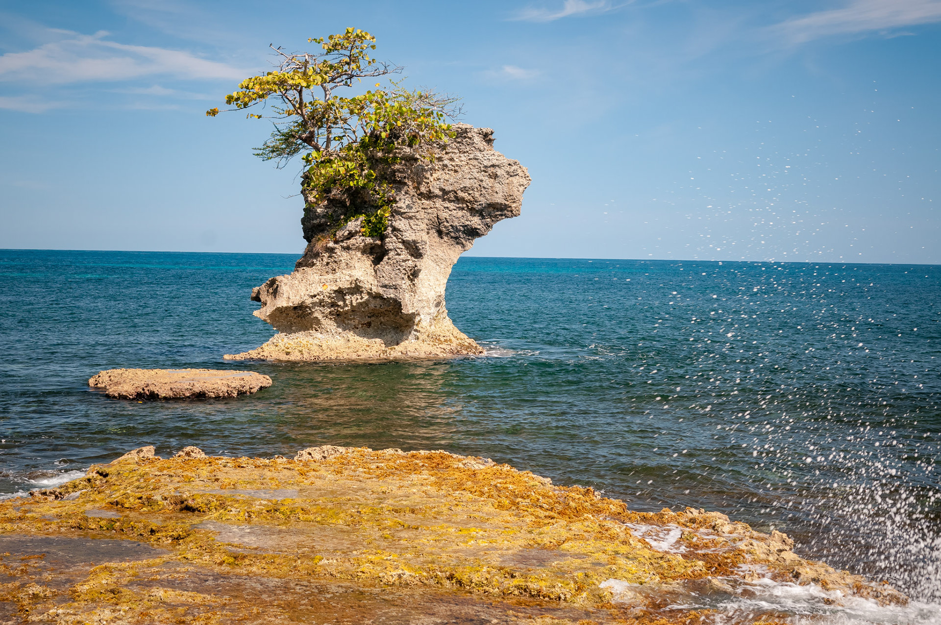 Refugio Nacional de Vida Silvestre Gandoca-Manzanillo