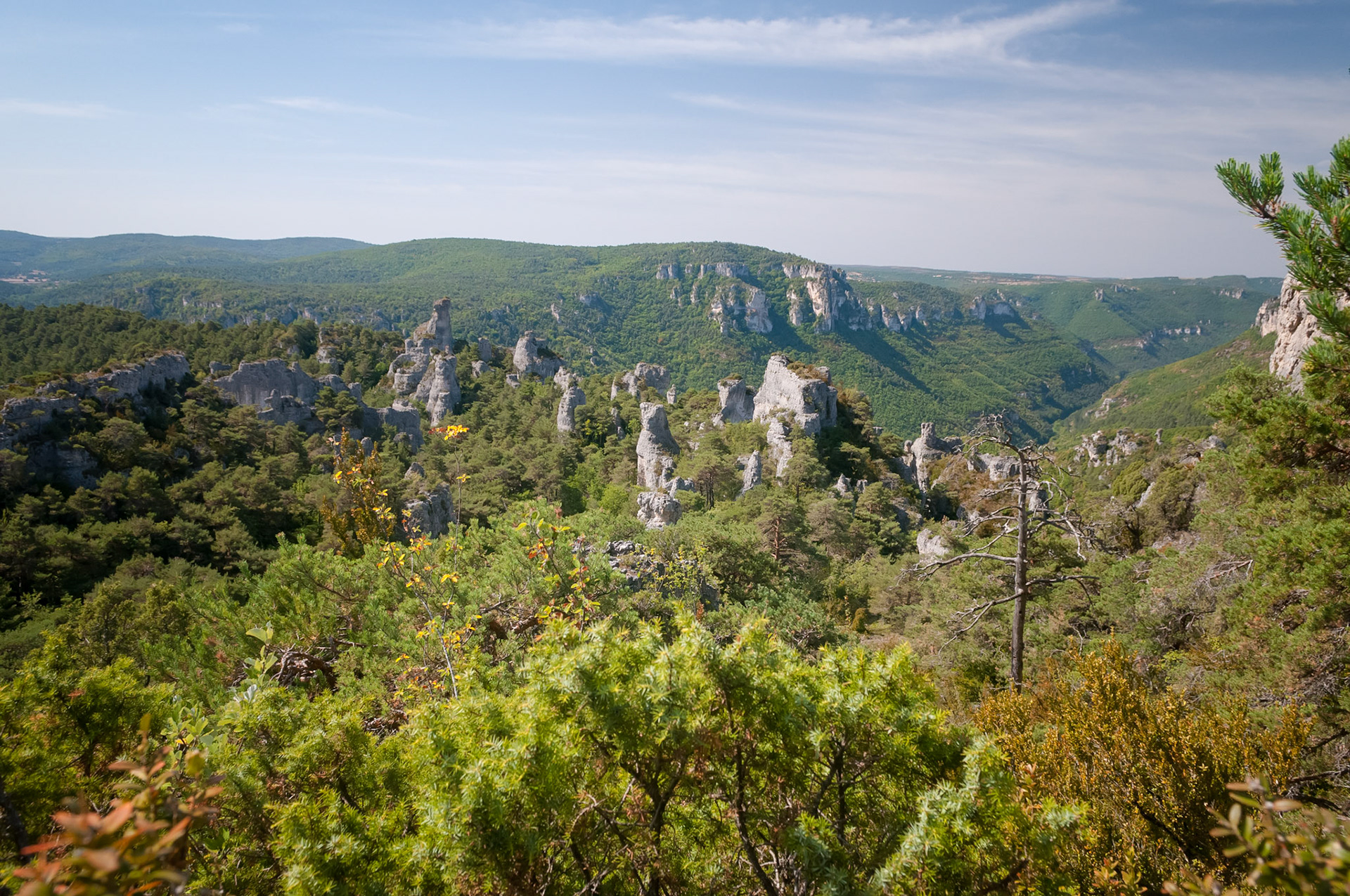 Chaos de Montpellier-le-Vieux, Aveyron