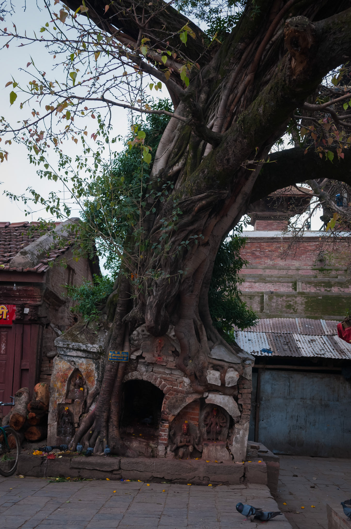 Durbar Square, Kathmandu