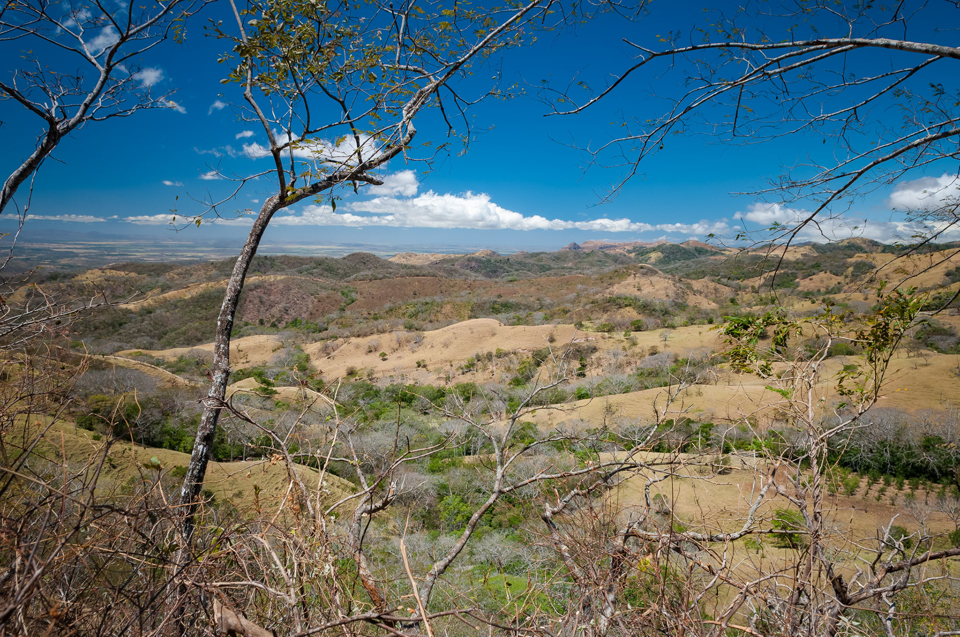 Route 145 vers Santa Elena