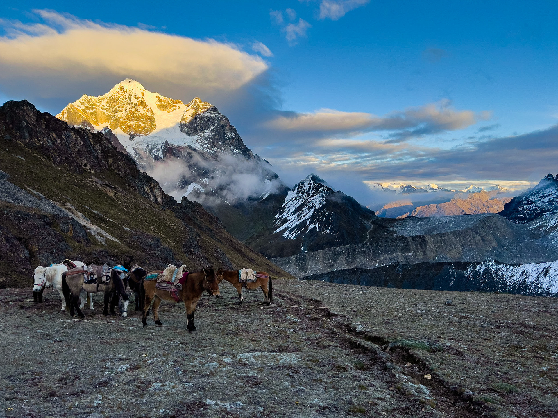 Salcantay Trek, Camp de Base 1
