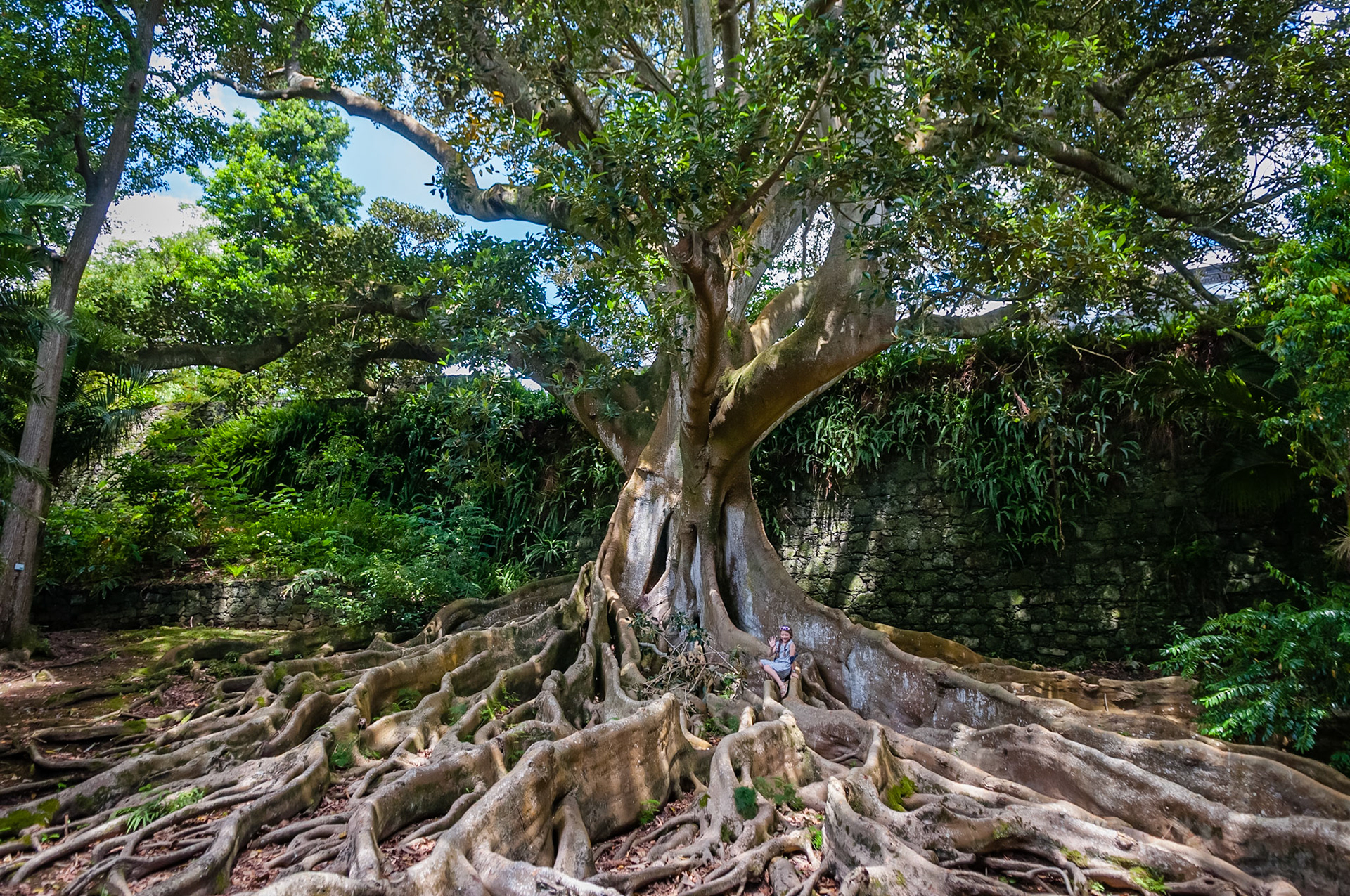 Jardim José do Canto, Ponta Delgada, São Miguel