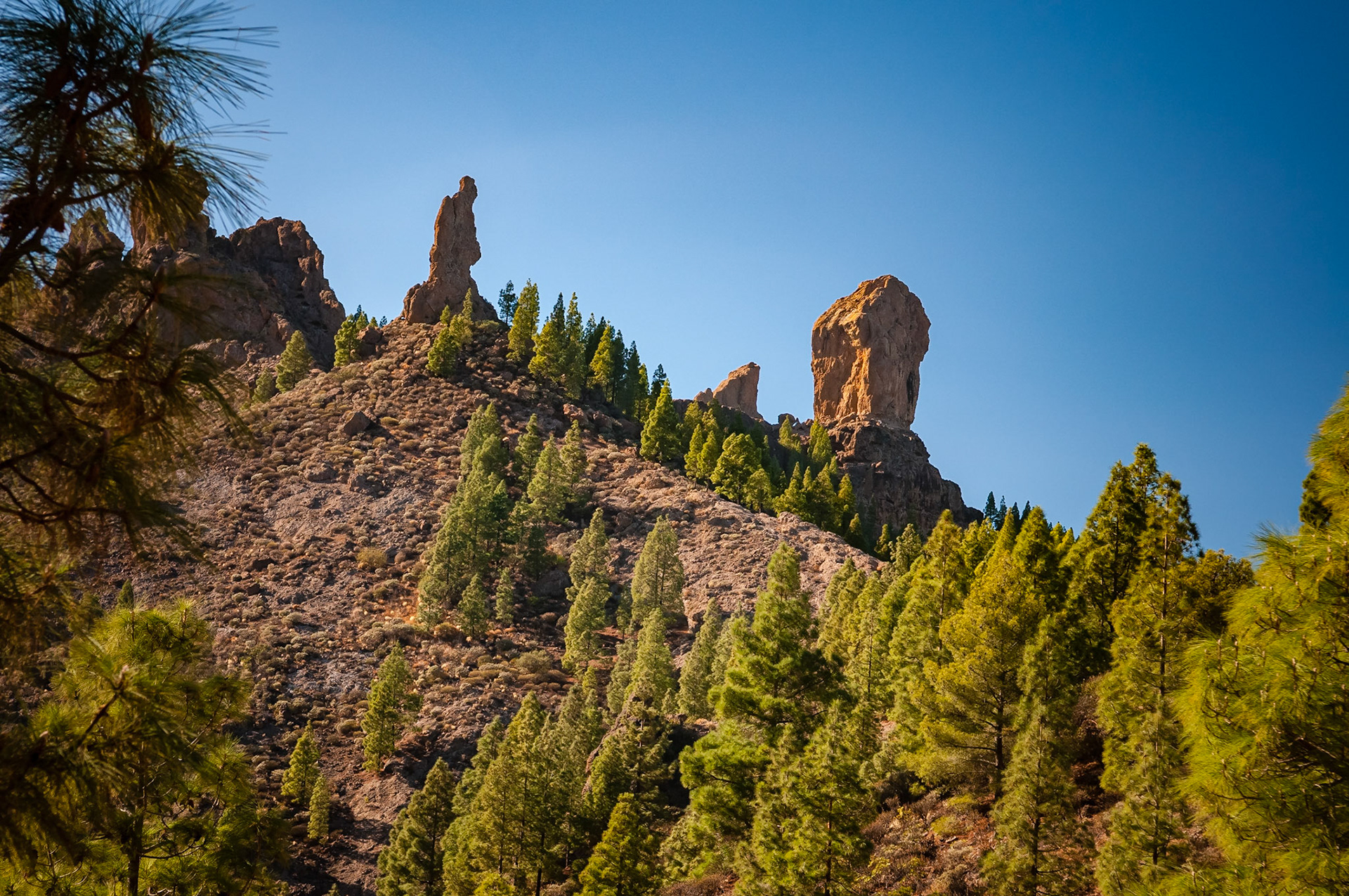 Roque Nubio, Gran Canaria