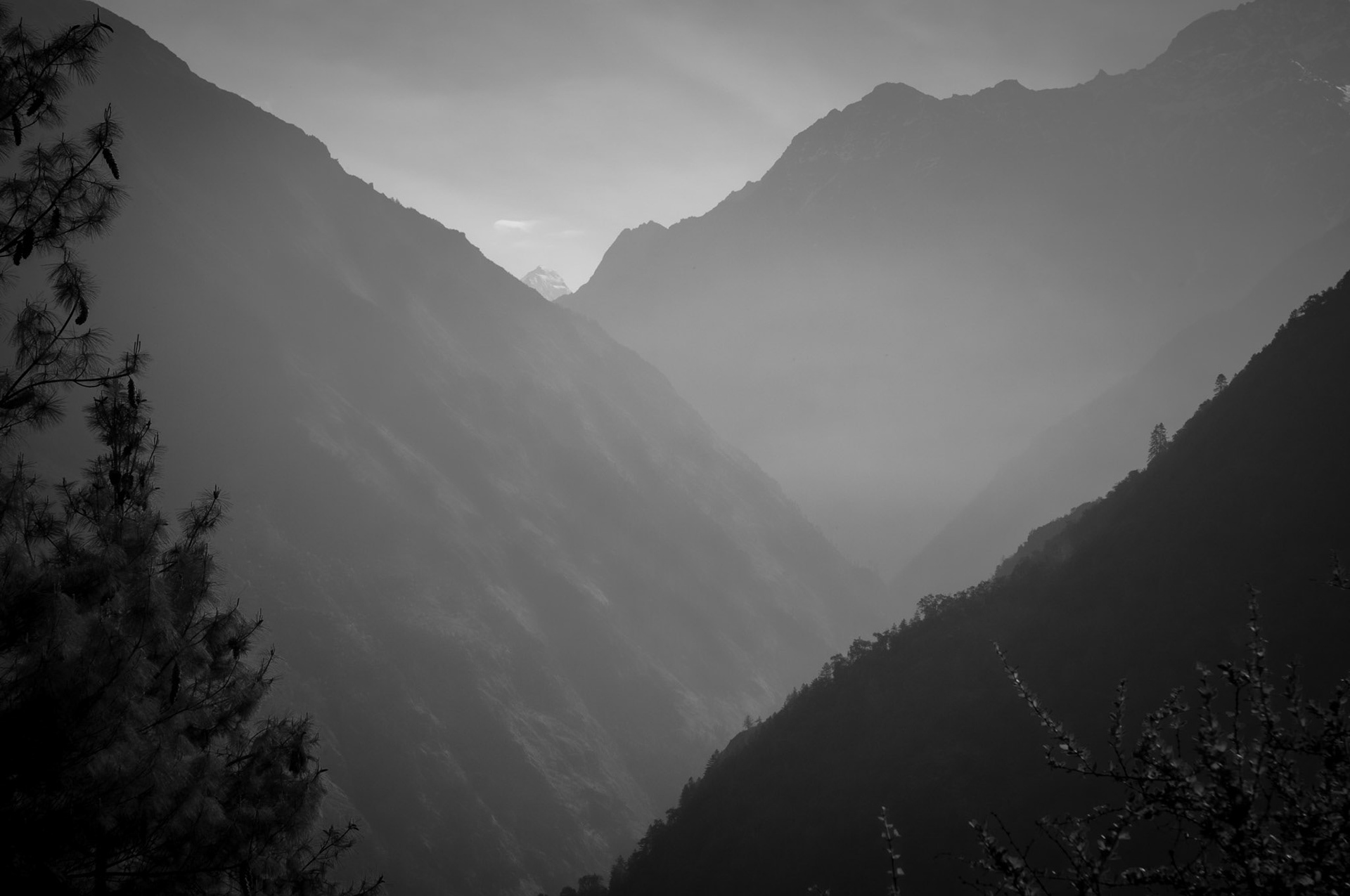 Entre Thulo Syabru (2210m) et Chandanbari (3330m)