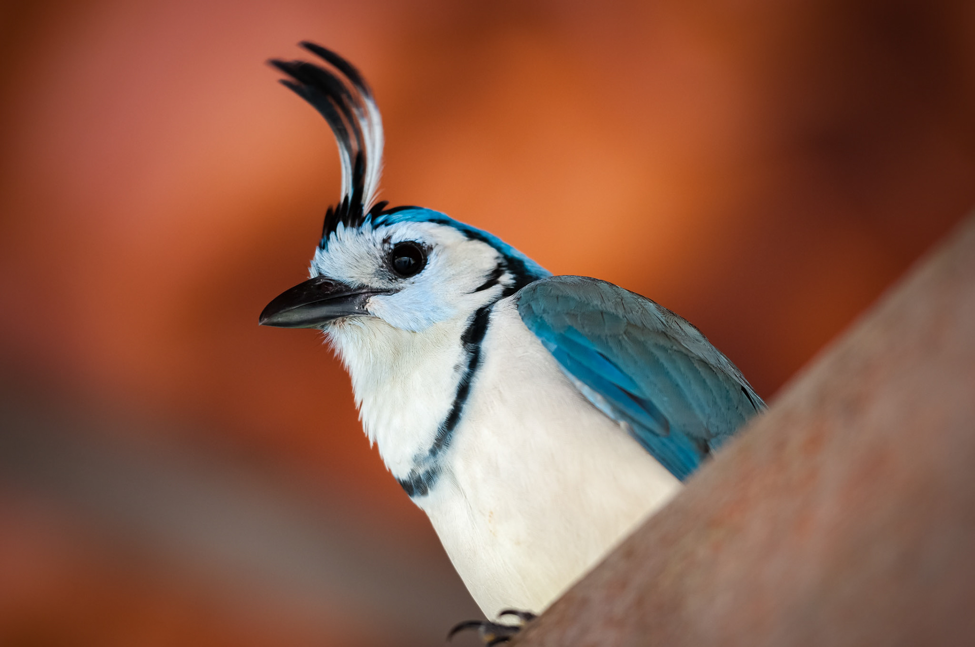 Parque National Volcan Arenal