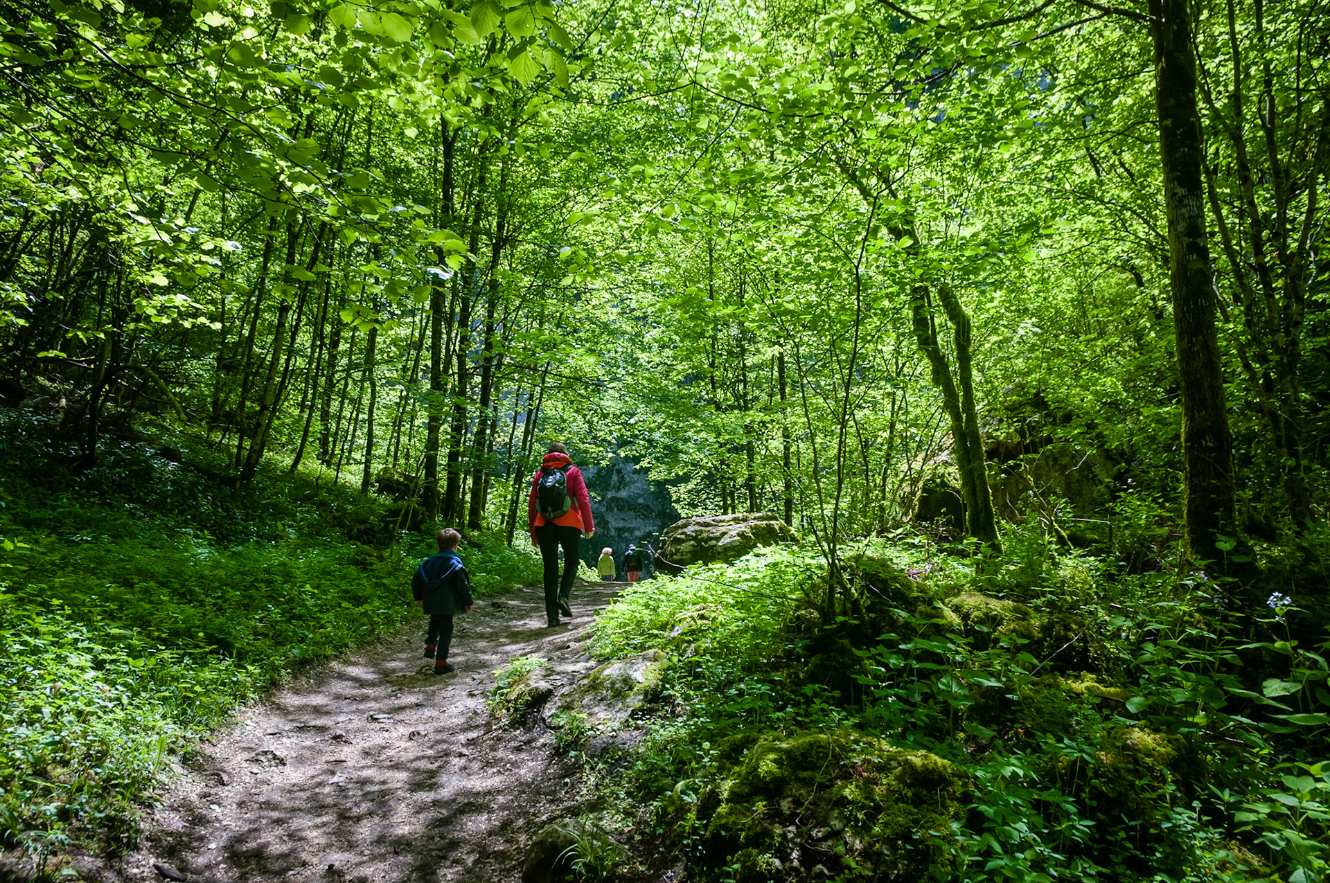 Le Creux Billard, Source du Lison, France