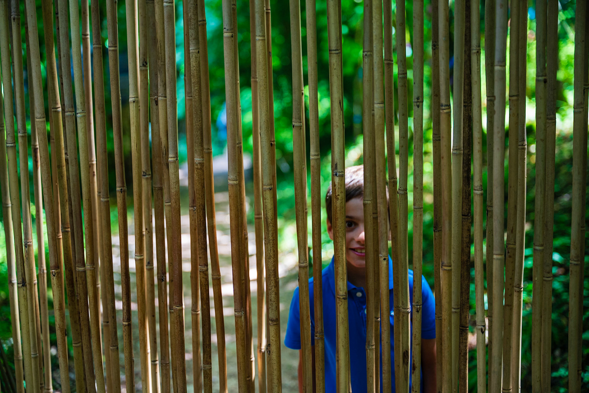 Domaine de Chaumont-sur-Loire