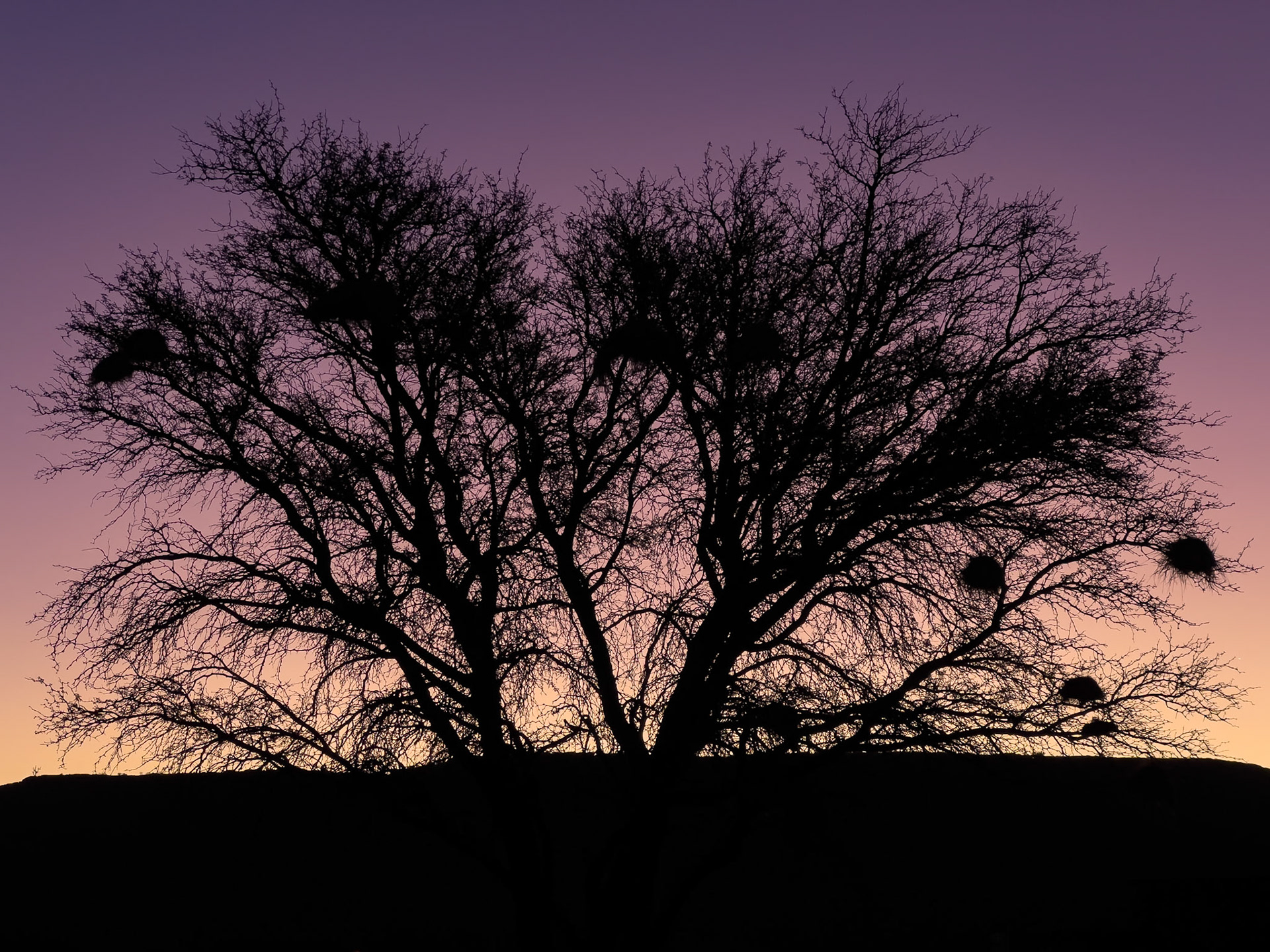Canyon Roadhouse Campsite, Fish River Canyon