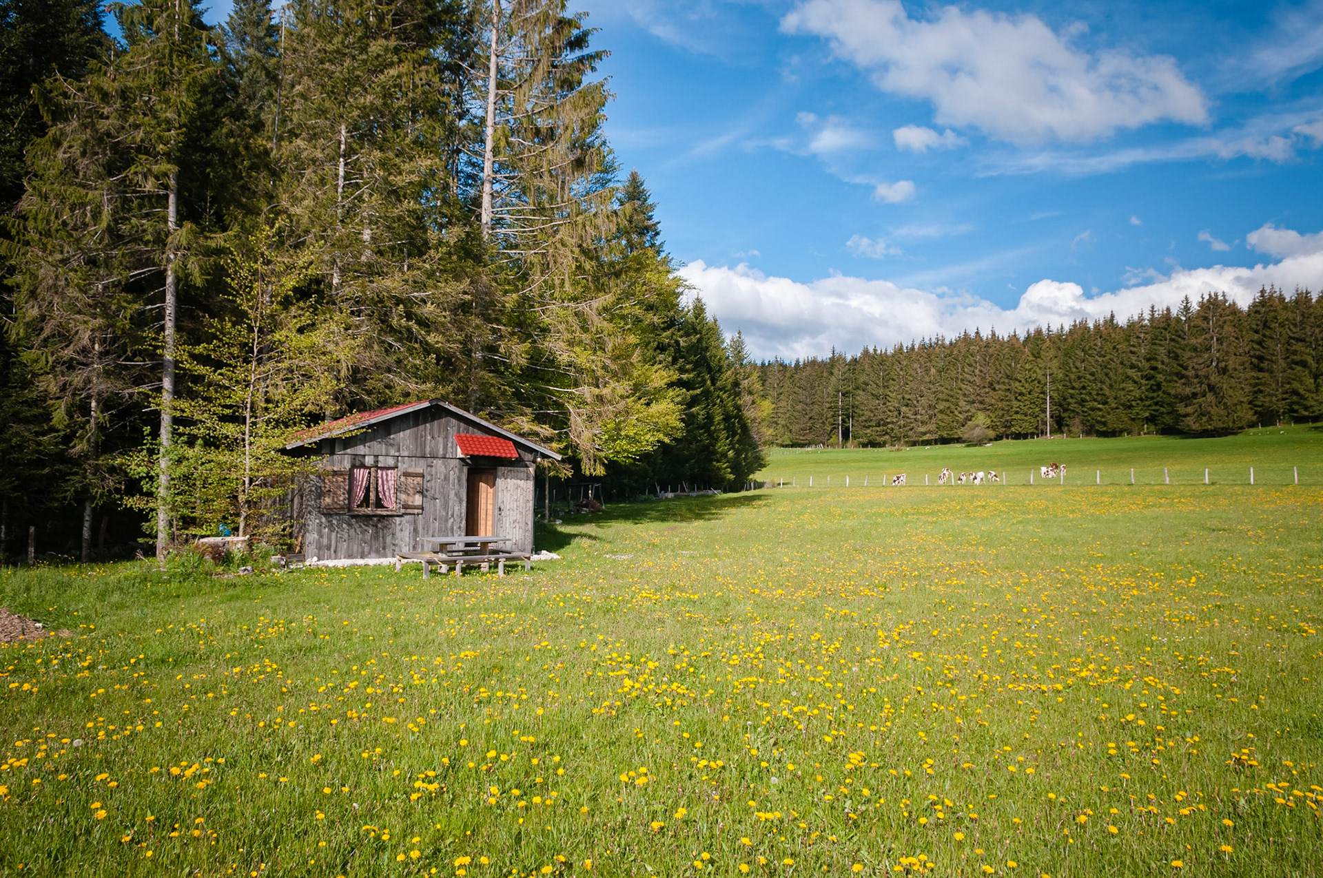 Chambre d'hôtes aux trois sapins, Gilley, France