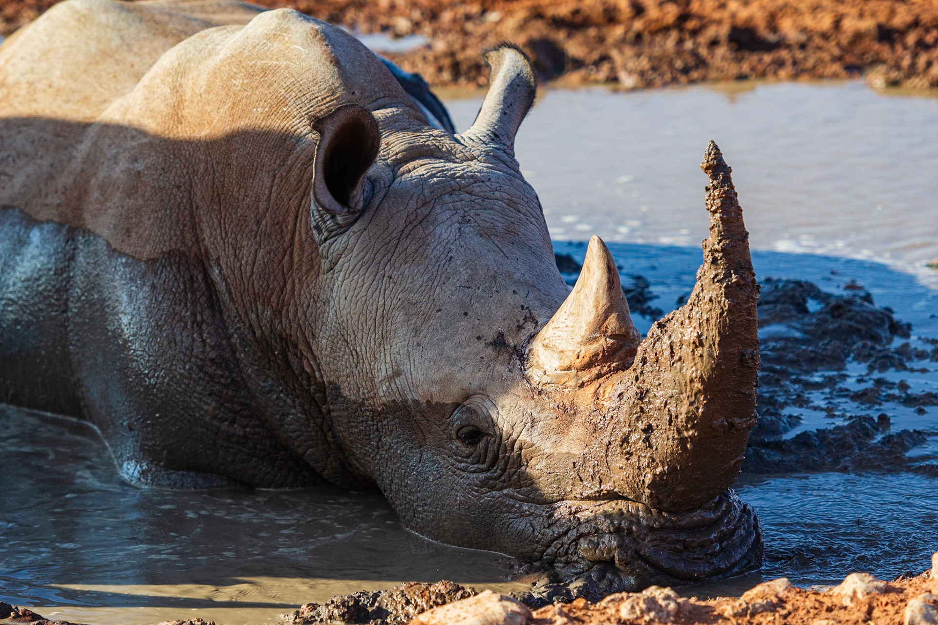 Bagatelle Kalahari Game Ranch, Mariental