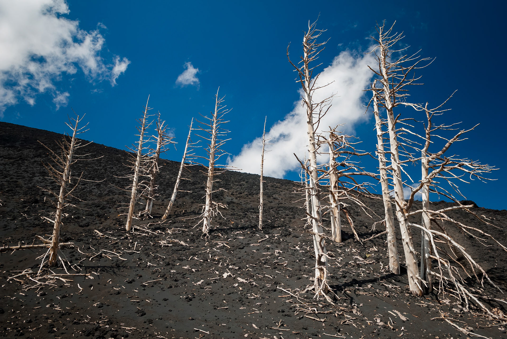 Cratères de 2002, Mont Etna