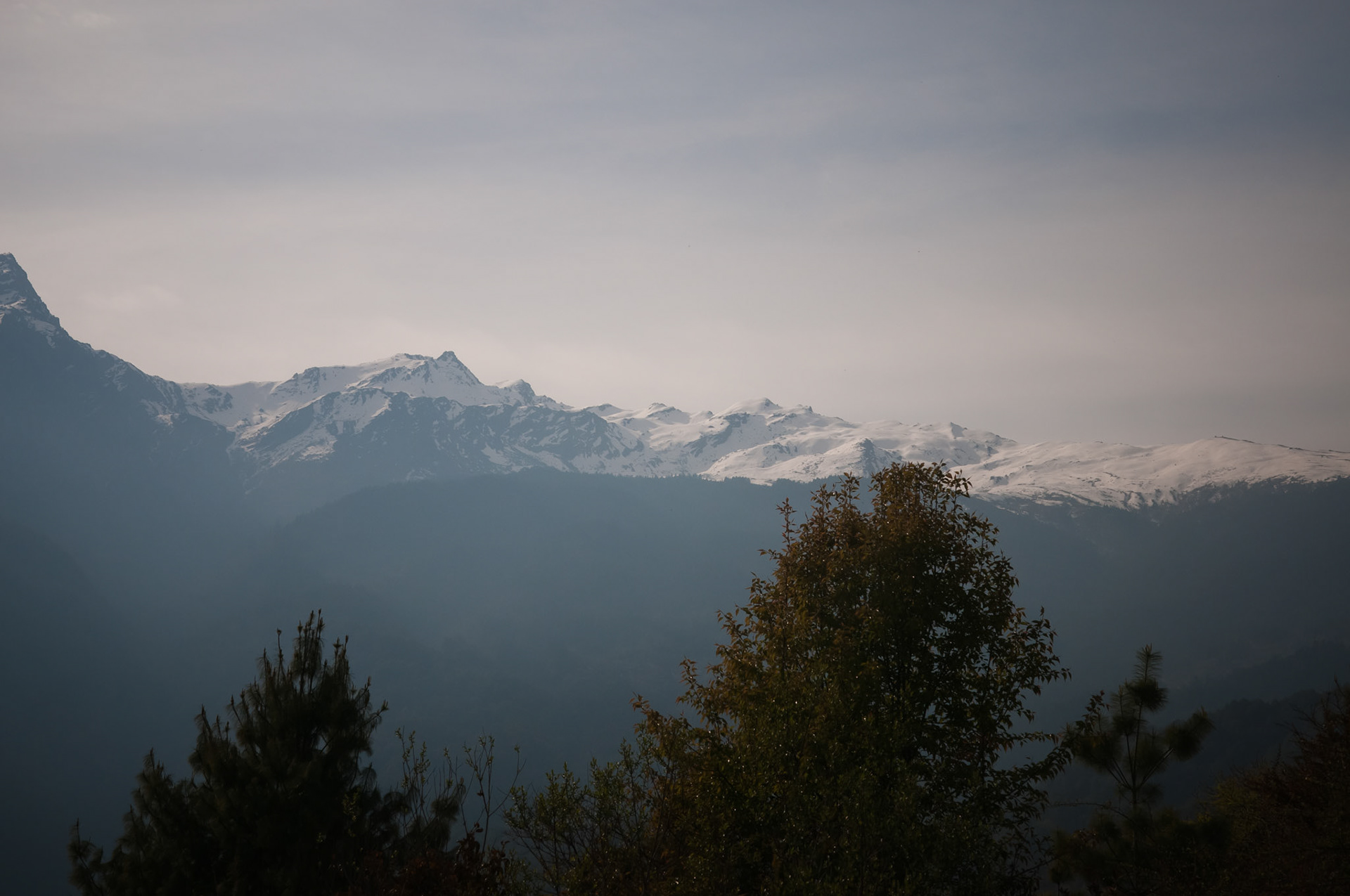 Entre Thulo Syabru (2210m) et Chandanbari (3330m)