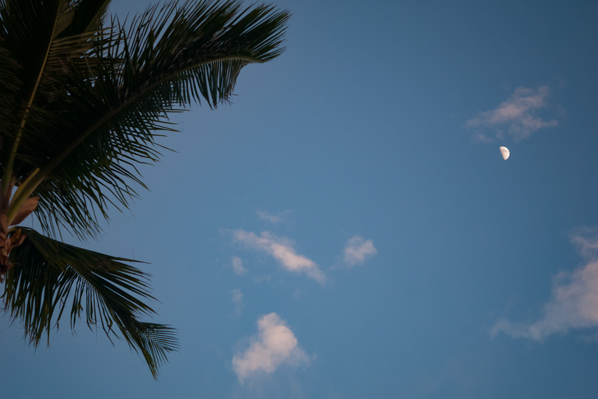 Club Med Punta Cana, République Dominicaine