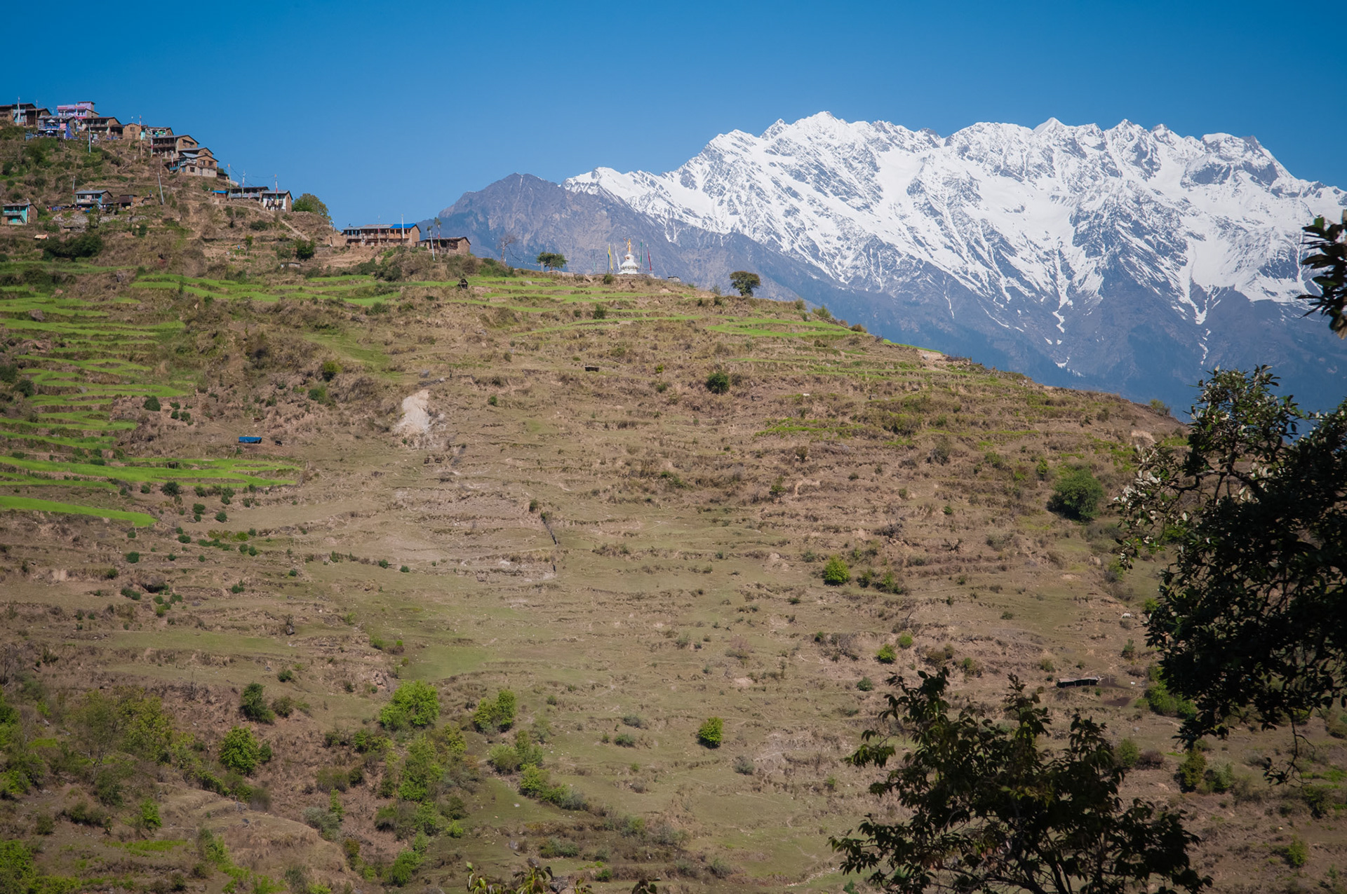 Entre Thulo Syabru (2210m) et Lama Hotel (2410m)