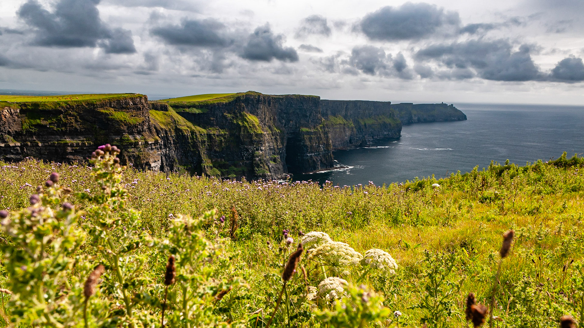 Cliffs of Moher, County Clare