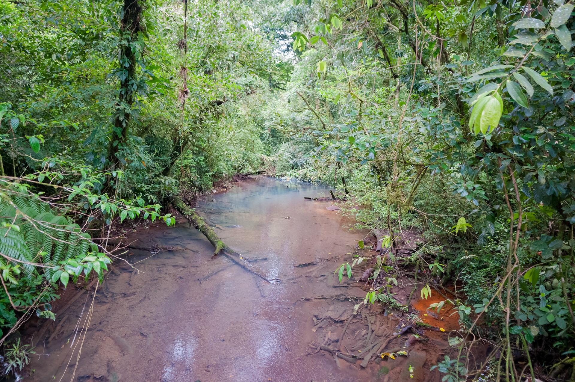 Parque National Volcan Tenorio