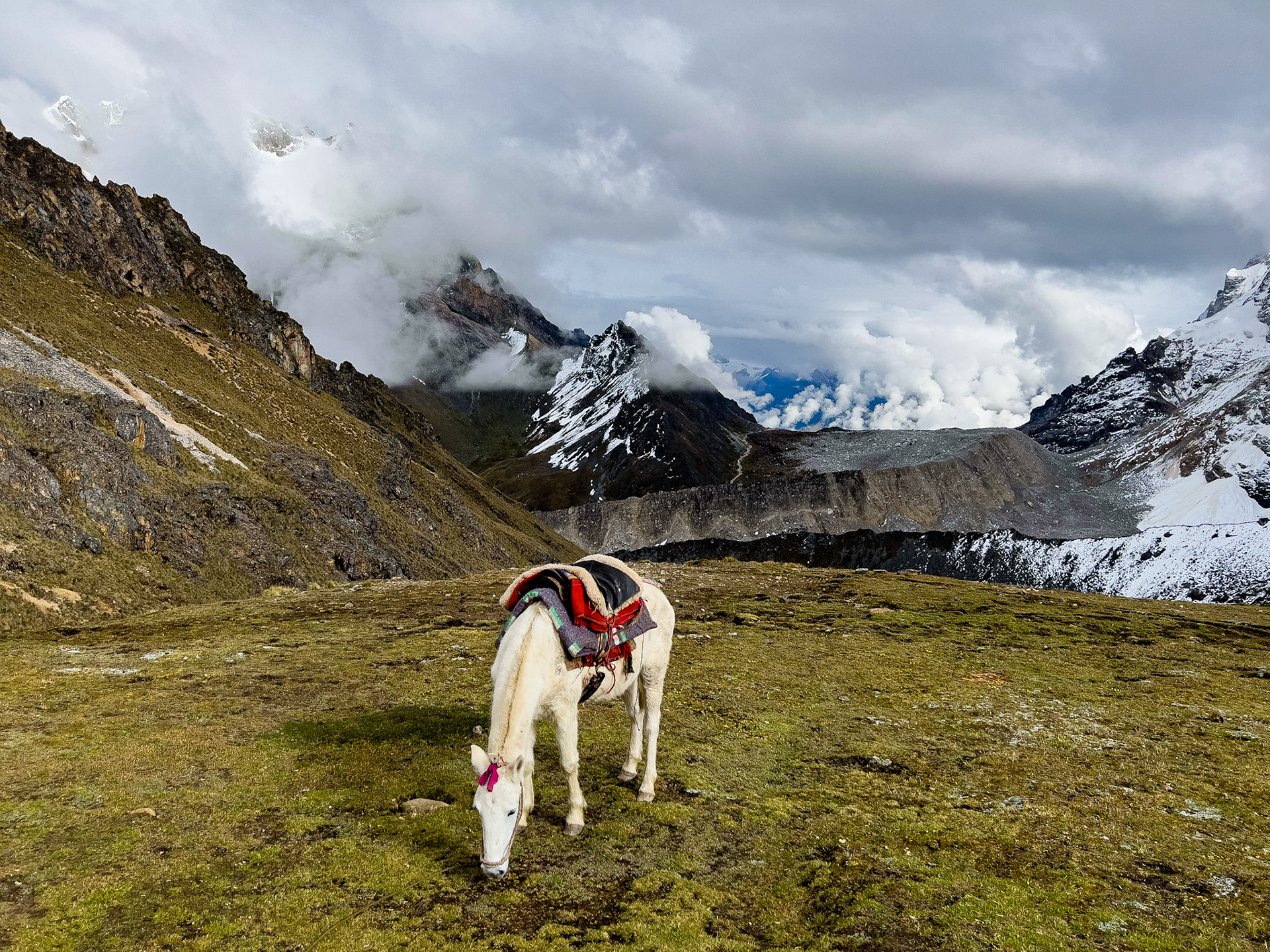 Salcantay Trek, Camp de Base 1